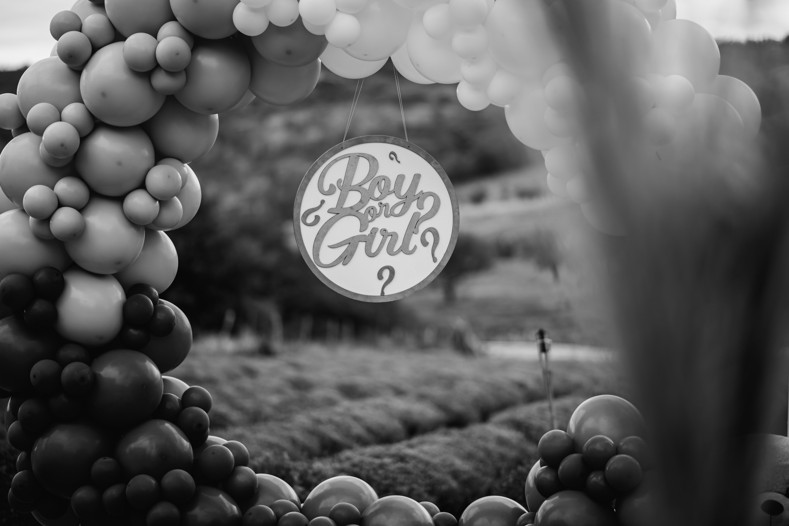 Gender reveal Alina & stefan. Giani Maftei