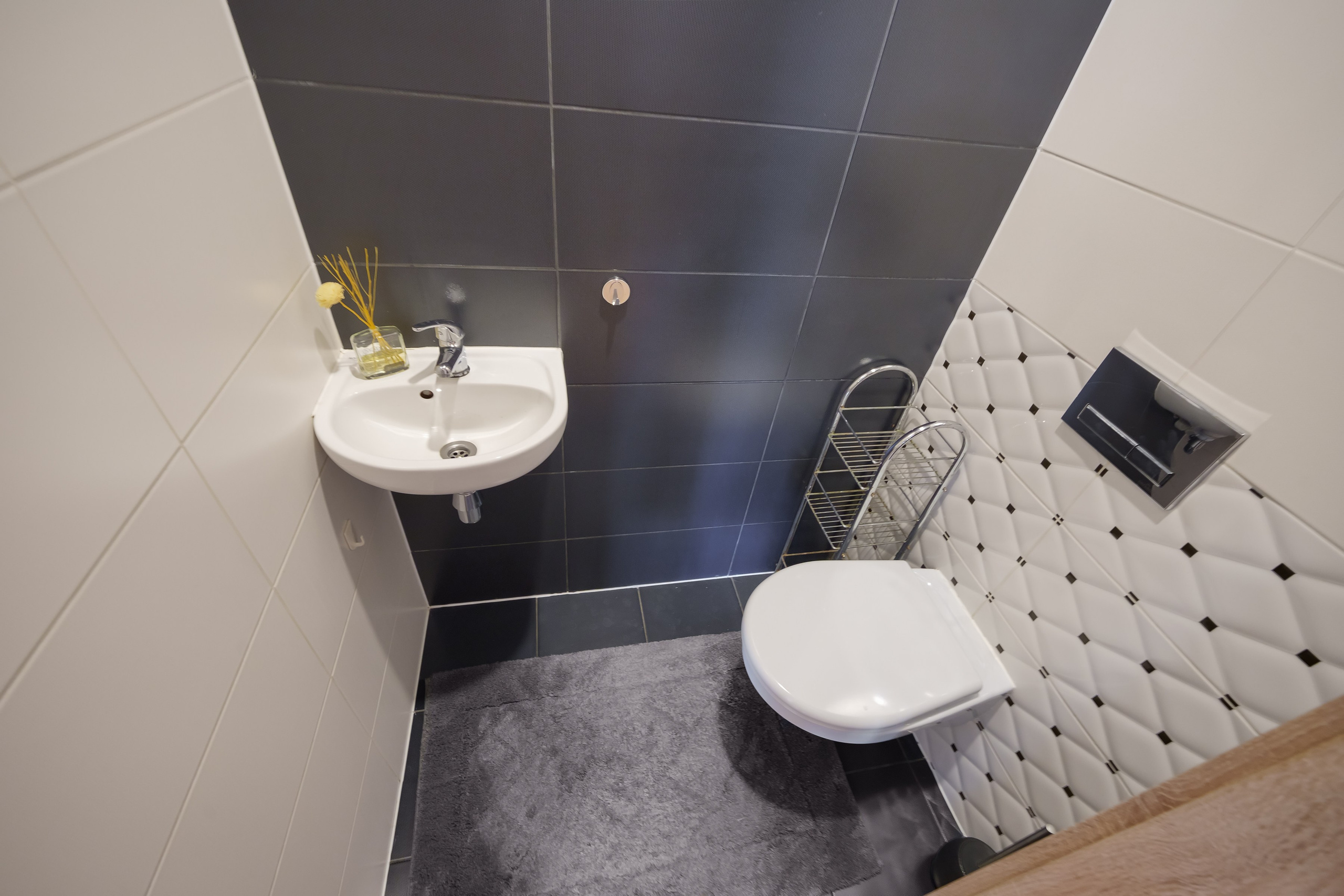 Tarandė. Elina Sapiega fotografė Vilniuje