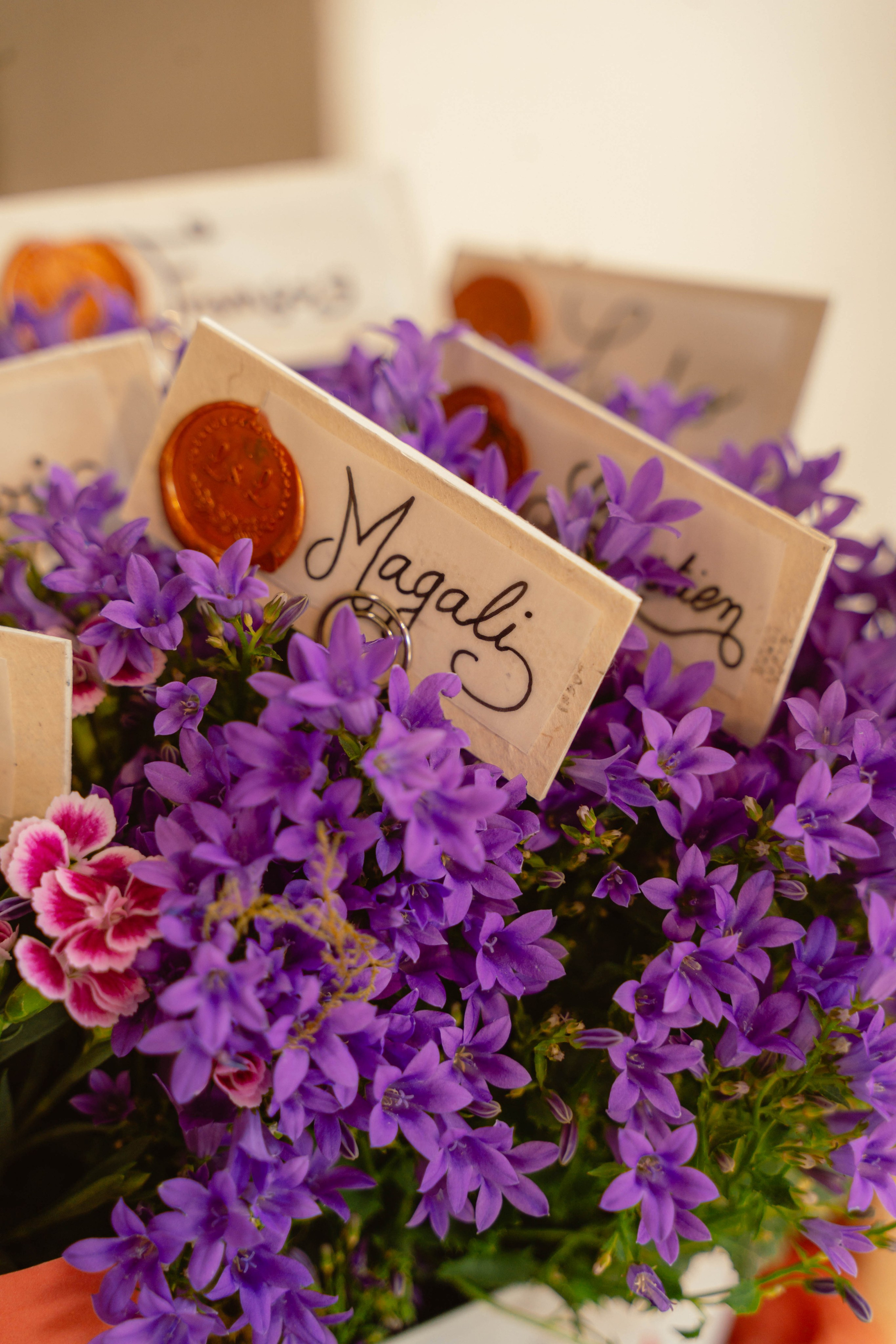 Ludivine & Ludovic. Weeding photographer / event / portrait