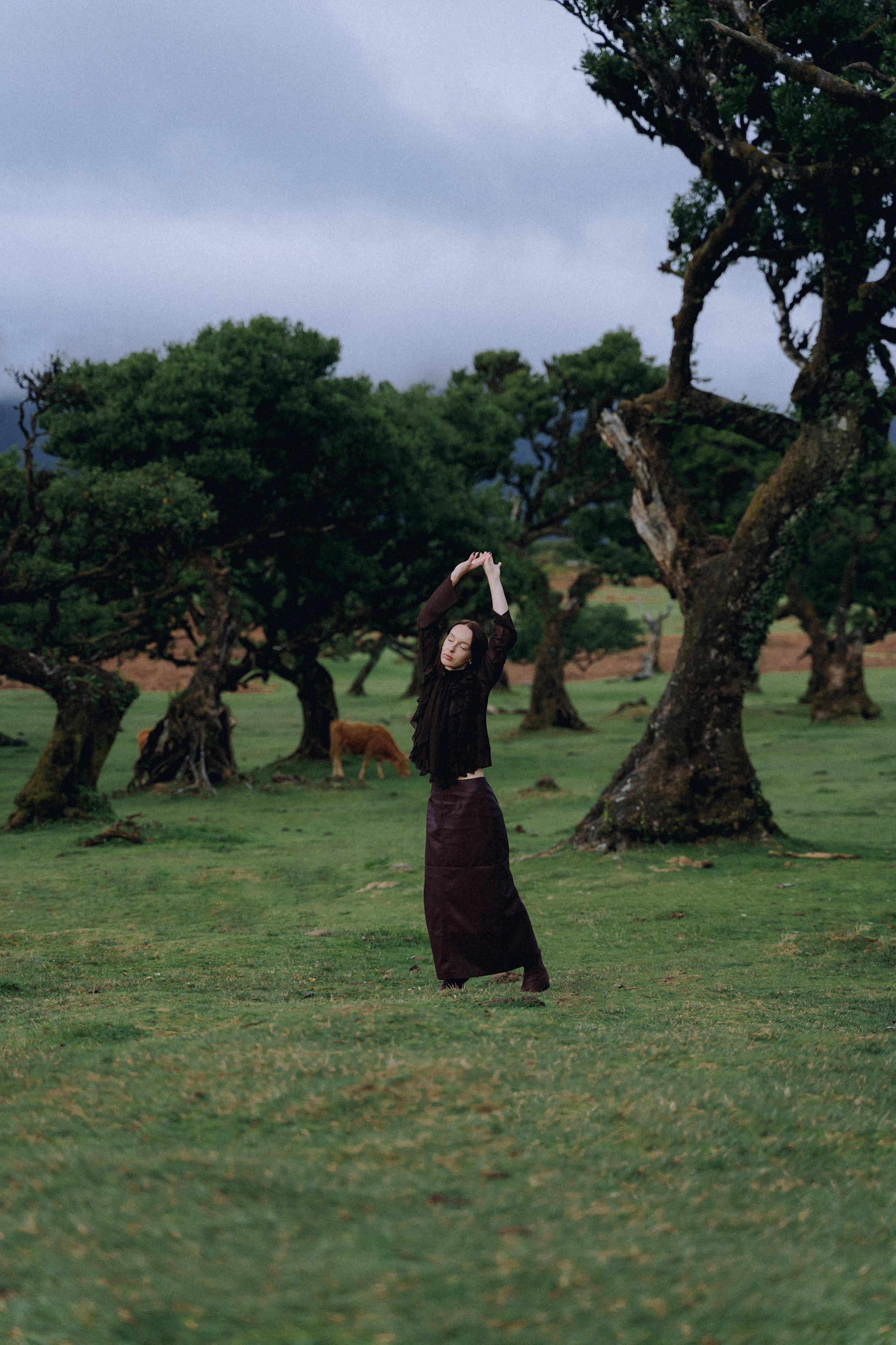 Individual Photoshoot in Fanal Forest — Oksana | Madeira Photography. Your photographer in Madeira