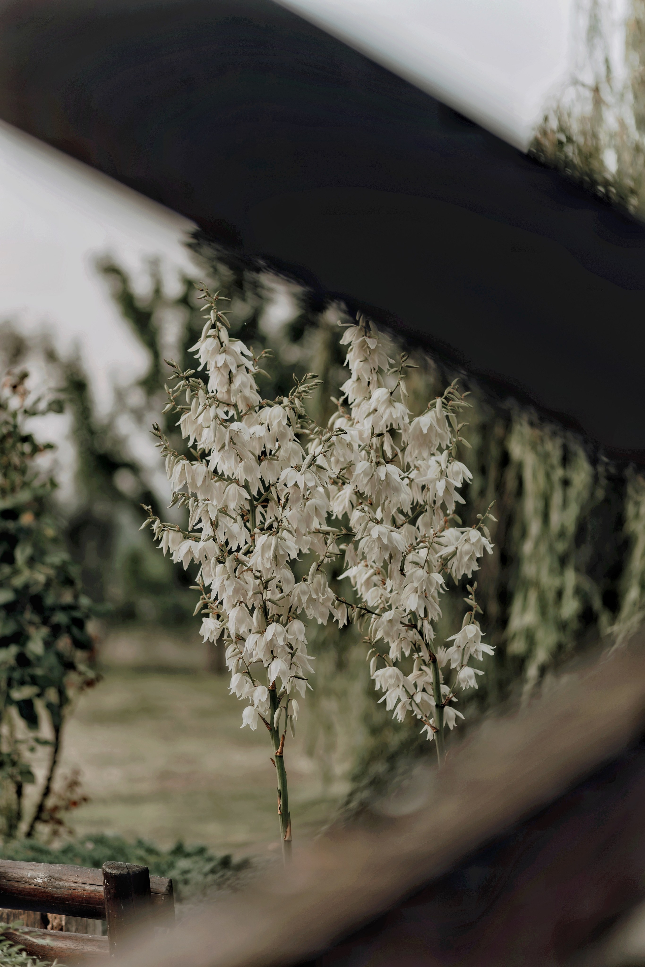 Agropensiunea Colev , locul unde începe evadarea perfectă. Emotions Photo Art