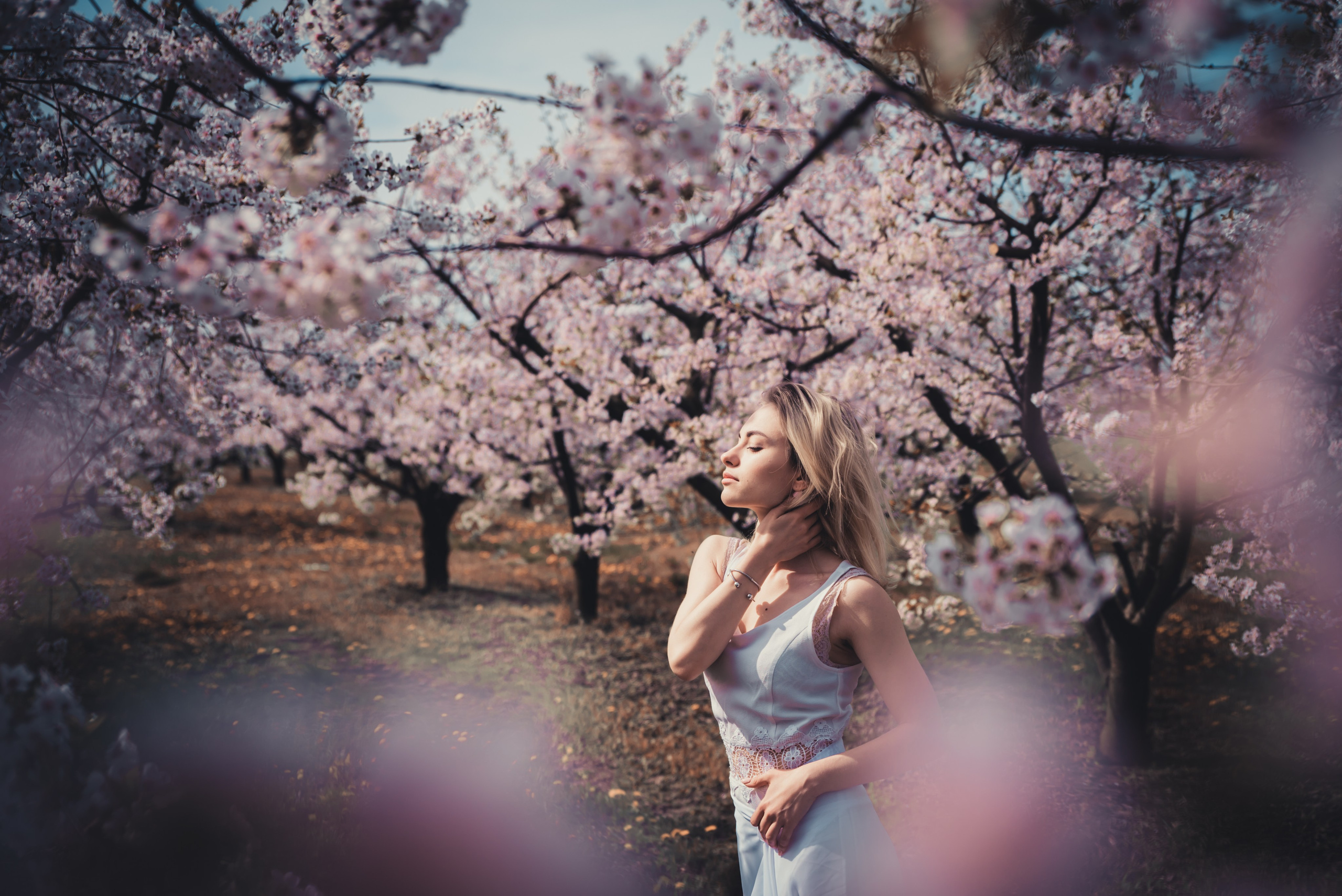 Послуги. Ekaterina Verbitskaya. Photography