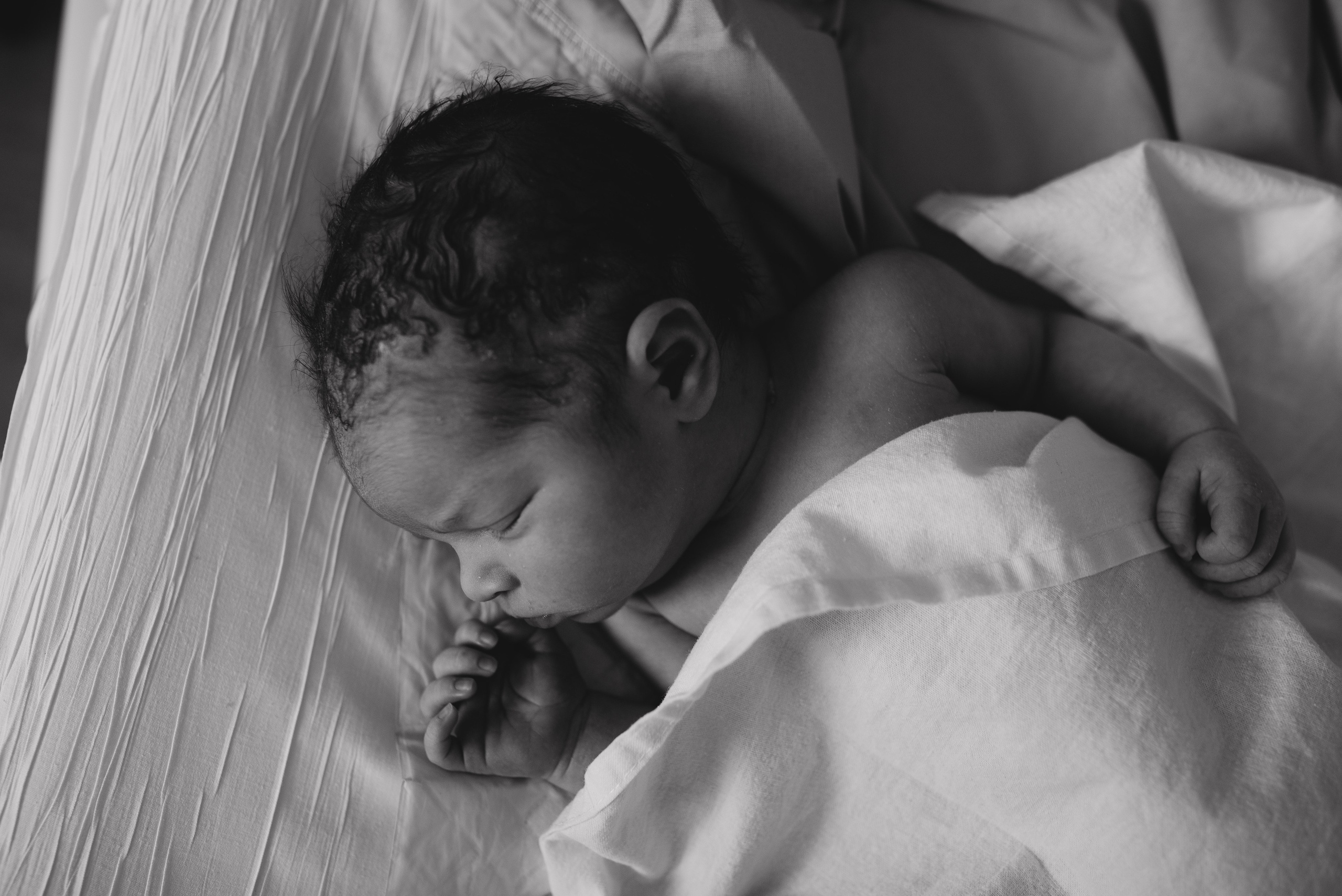 Fresh 48. Https://newbornphoto.wfolio.pro/me