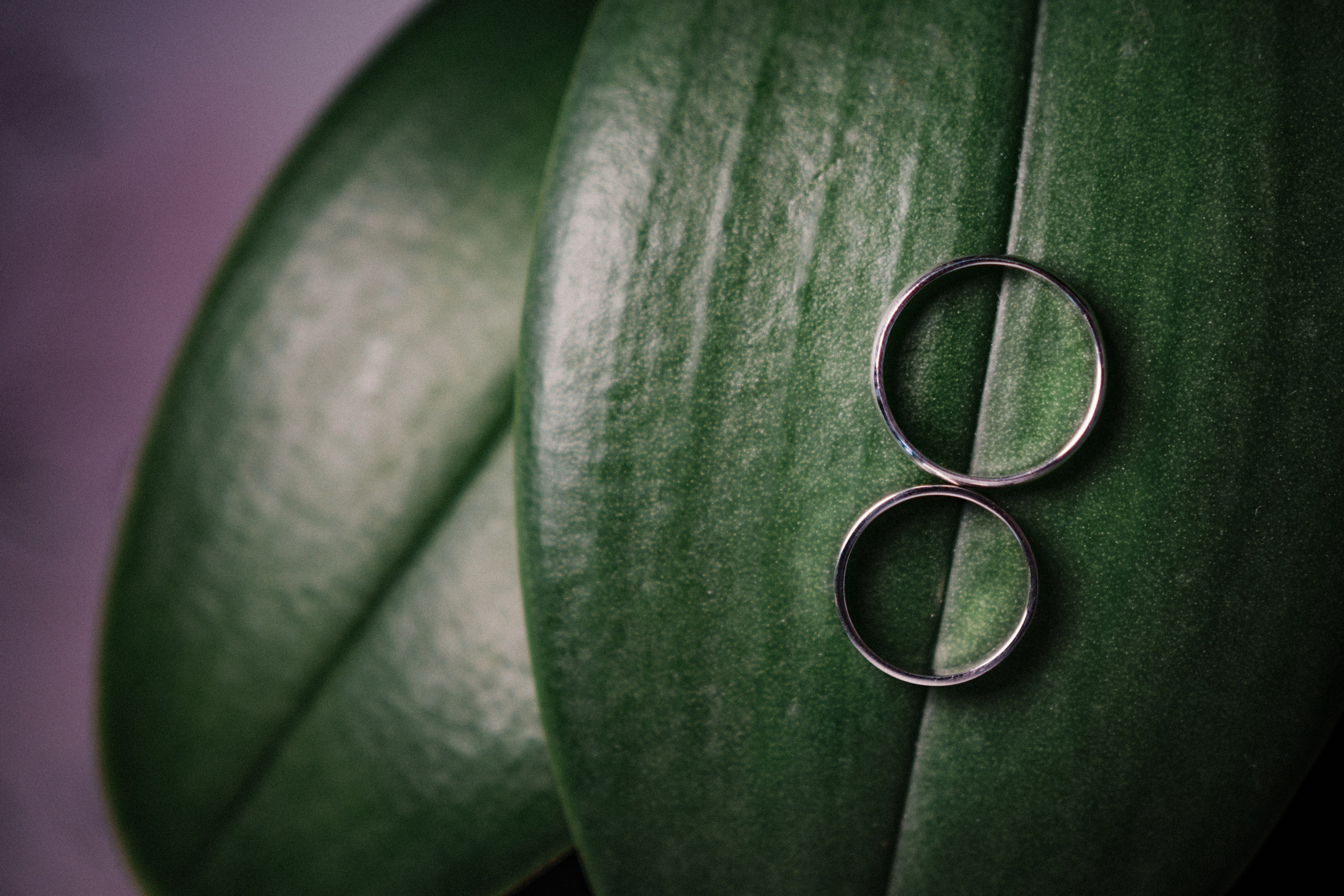 Dmitry Gorodetsky Event Photographer