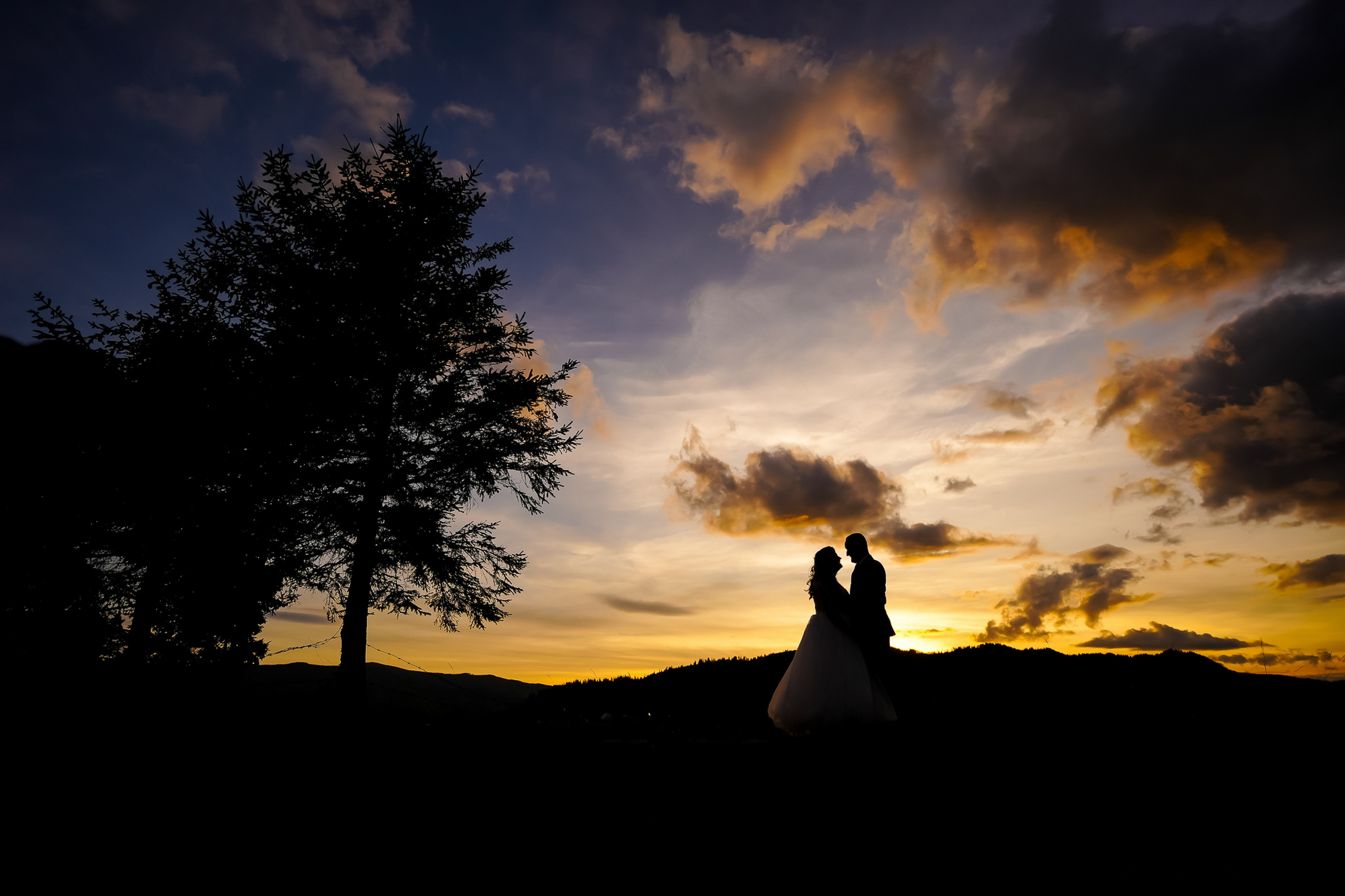 Best OFF2023. Soldan Studio