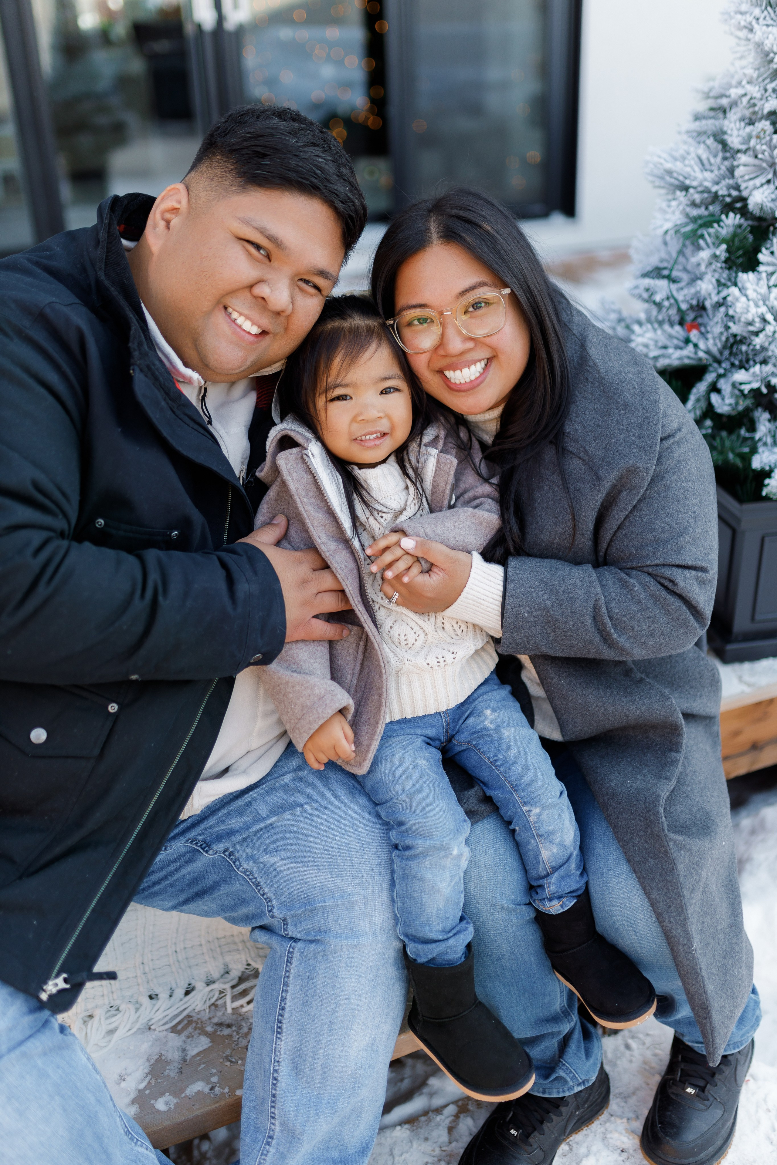 Christmas minis 2025. Home