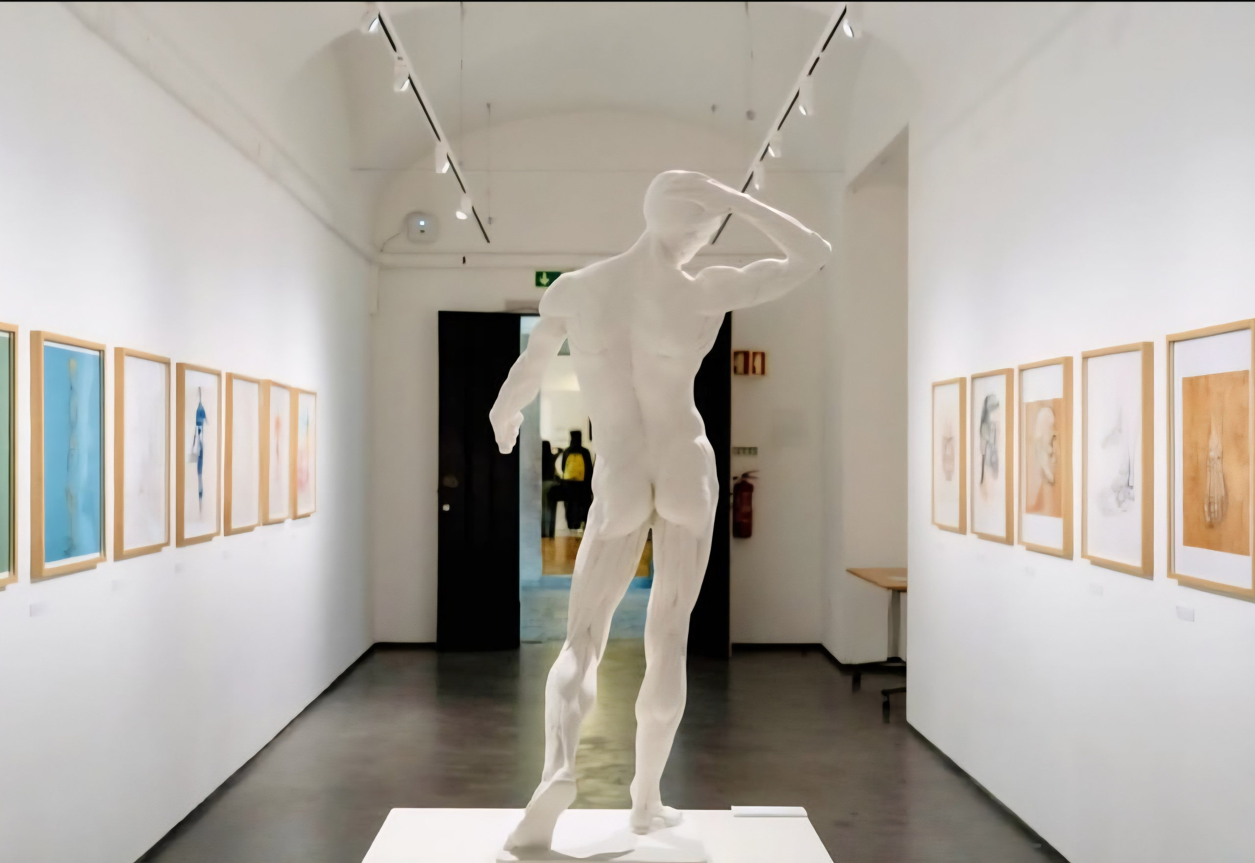 Um Olhar para Além da Morfologia. Barbara Cabral