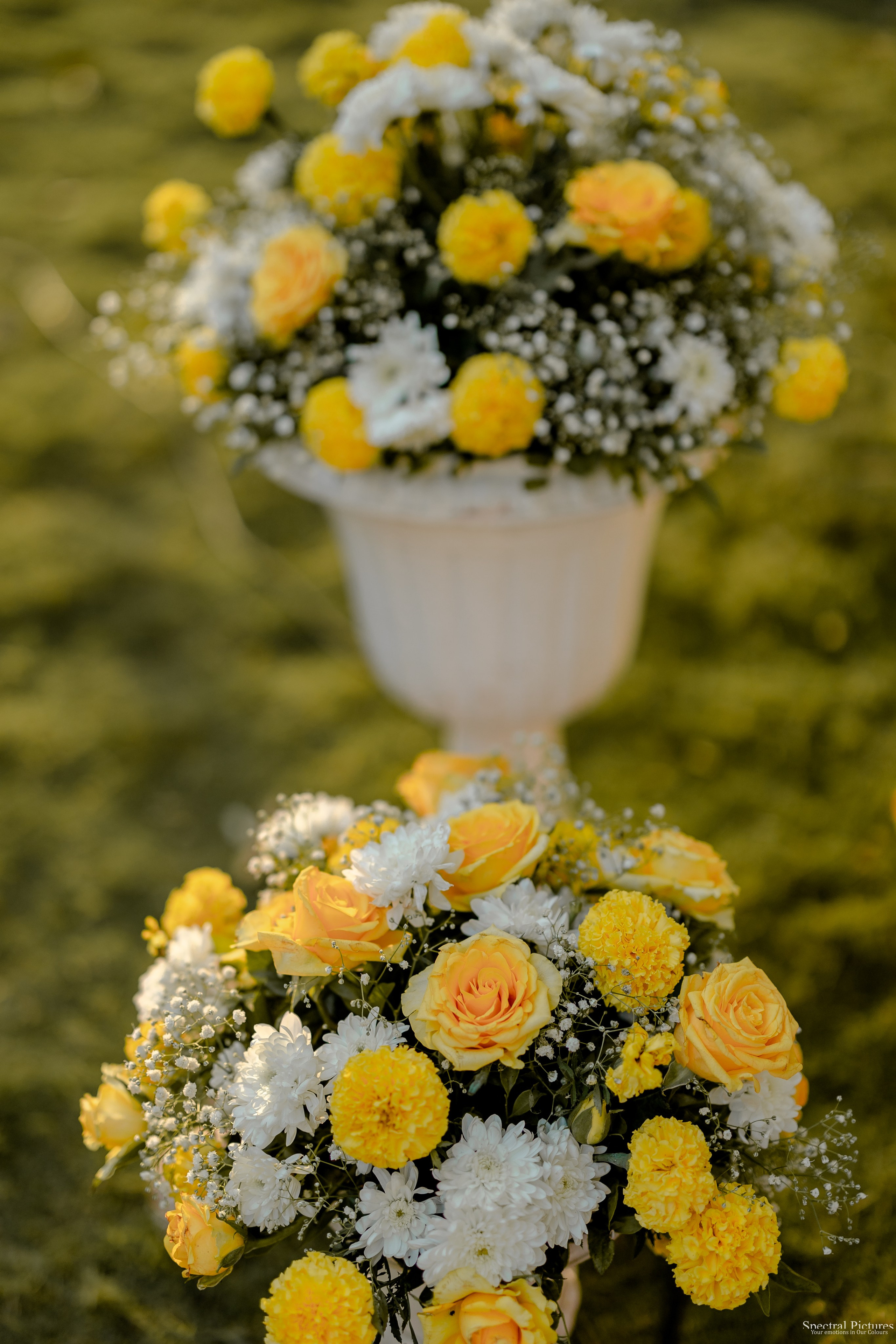 “Shivani & Ashish | A Love Meant to Be”