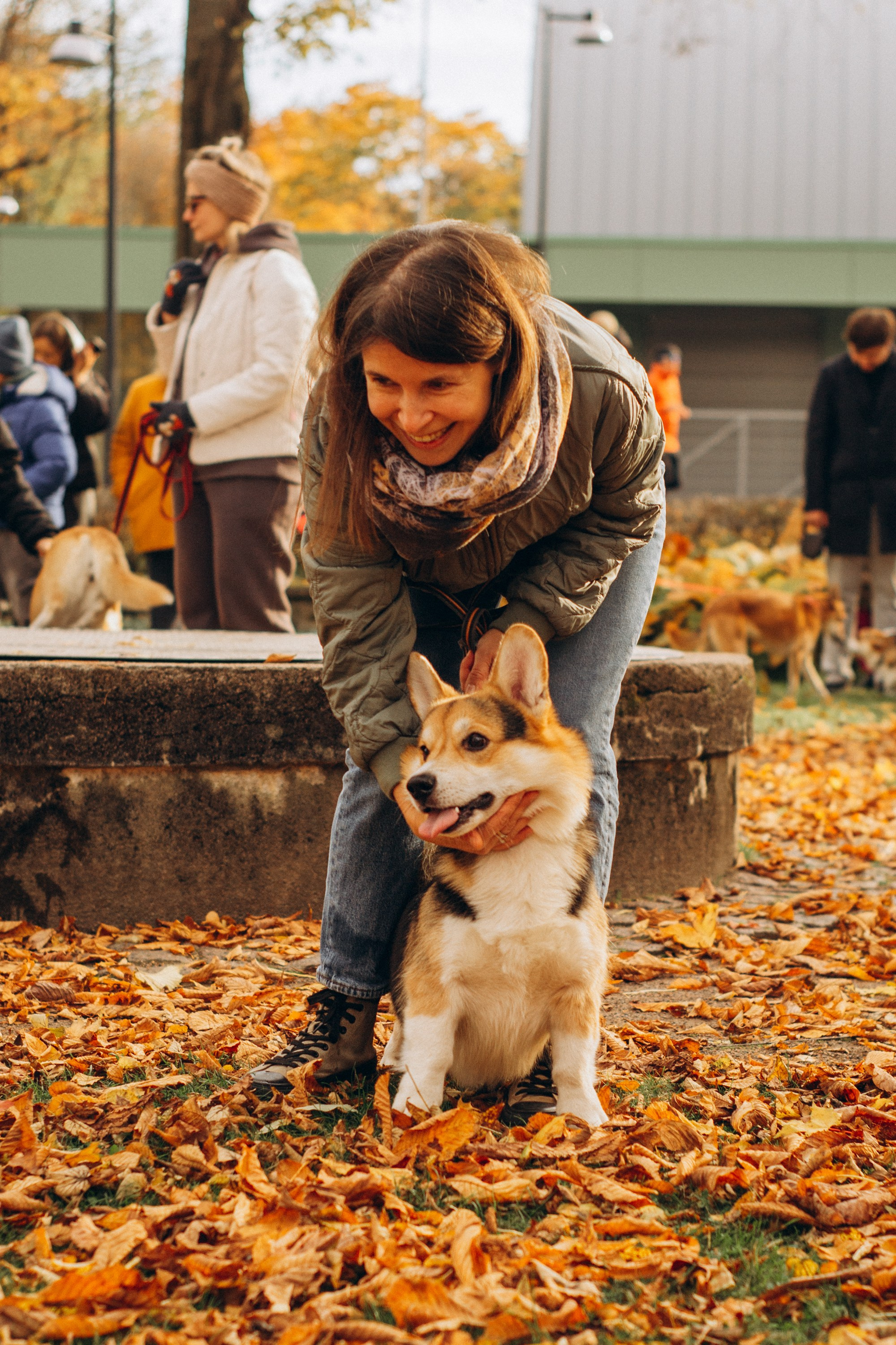 Corgi party, october. Kat Laisaar — Pet photographer in Tallinn