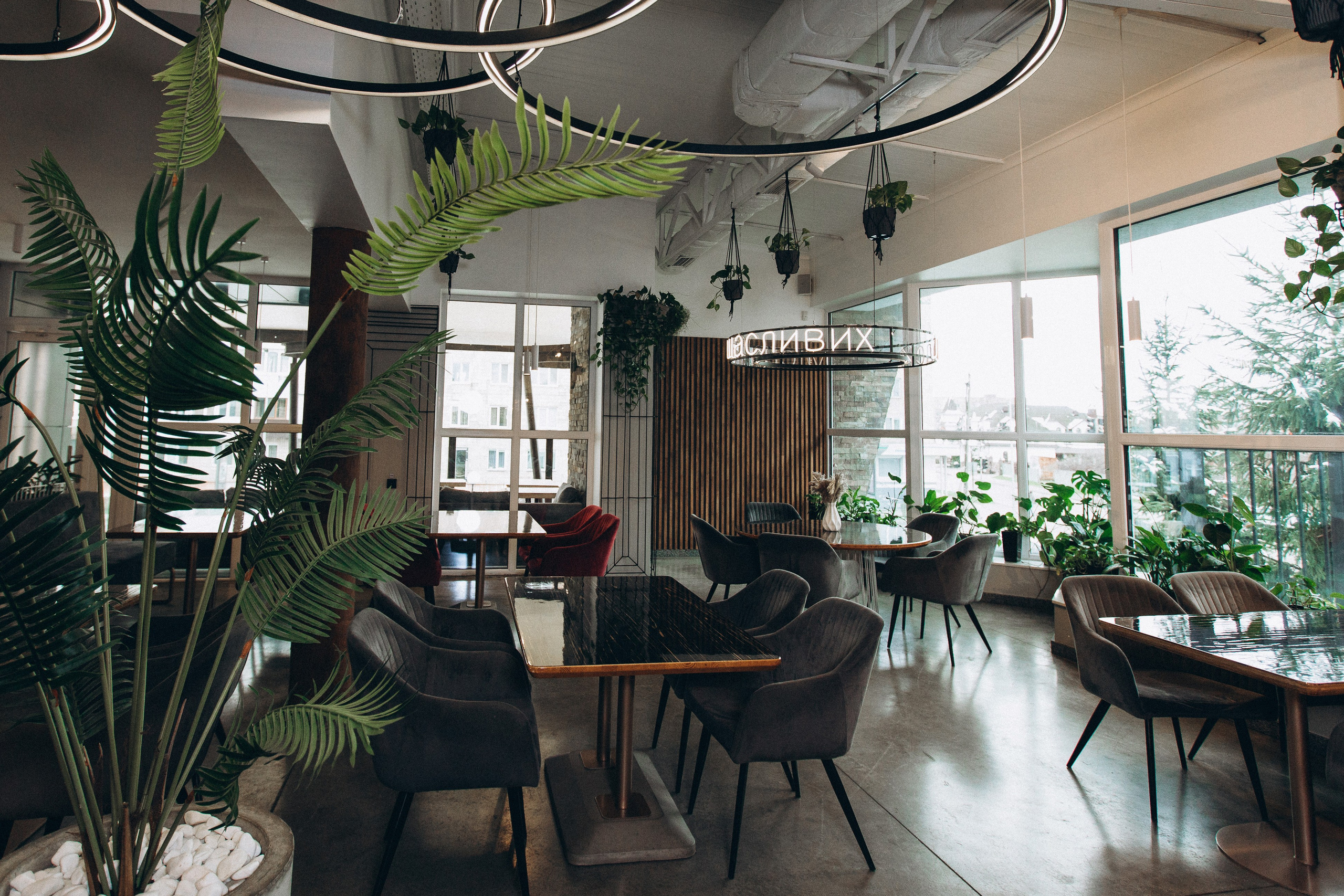 Мережа ресторанів Classic. Ірина Терещук