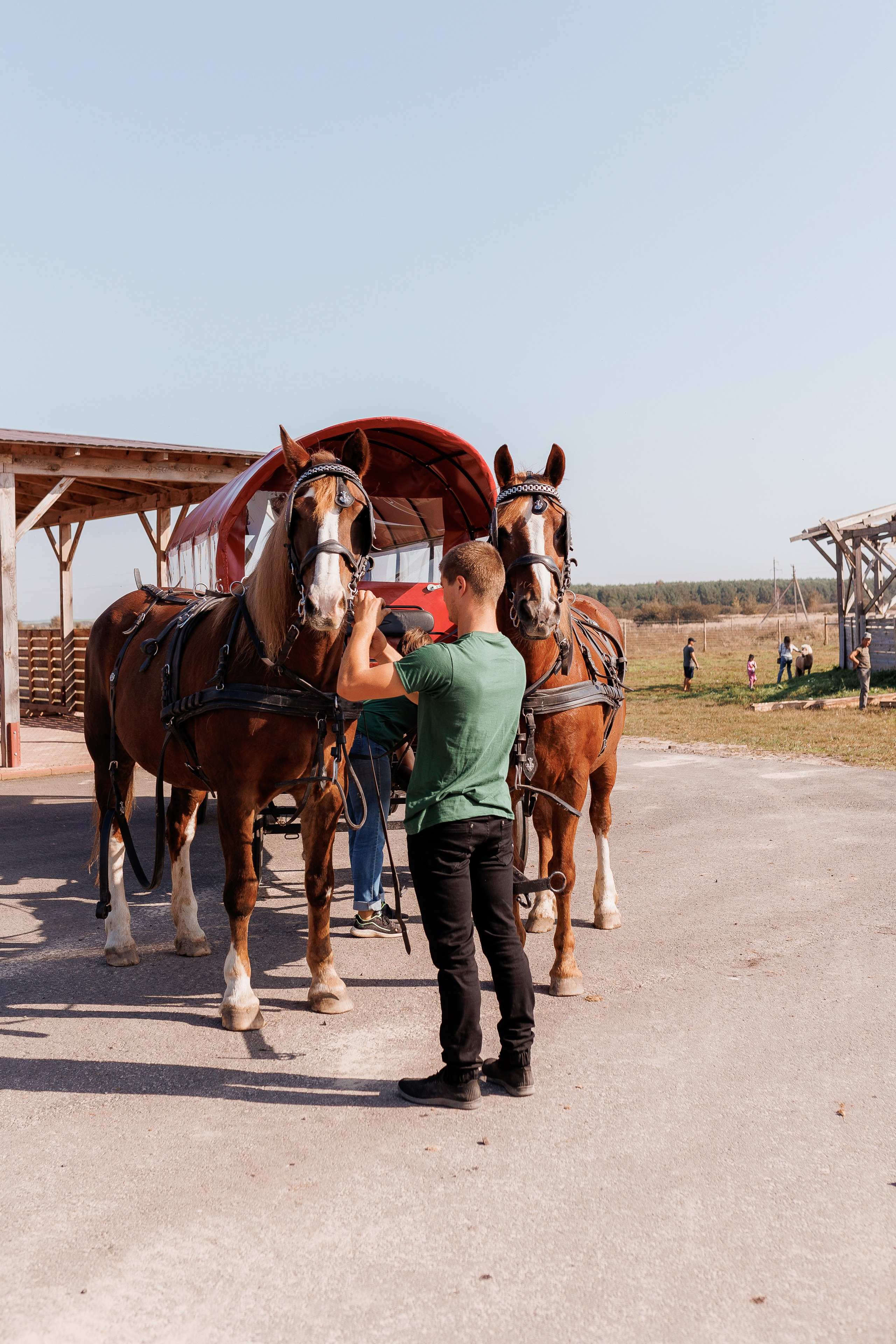 Екопарк Аміла. Ірина Терещук