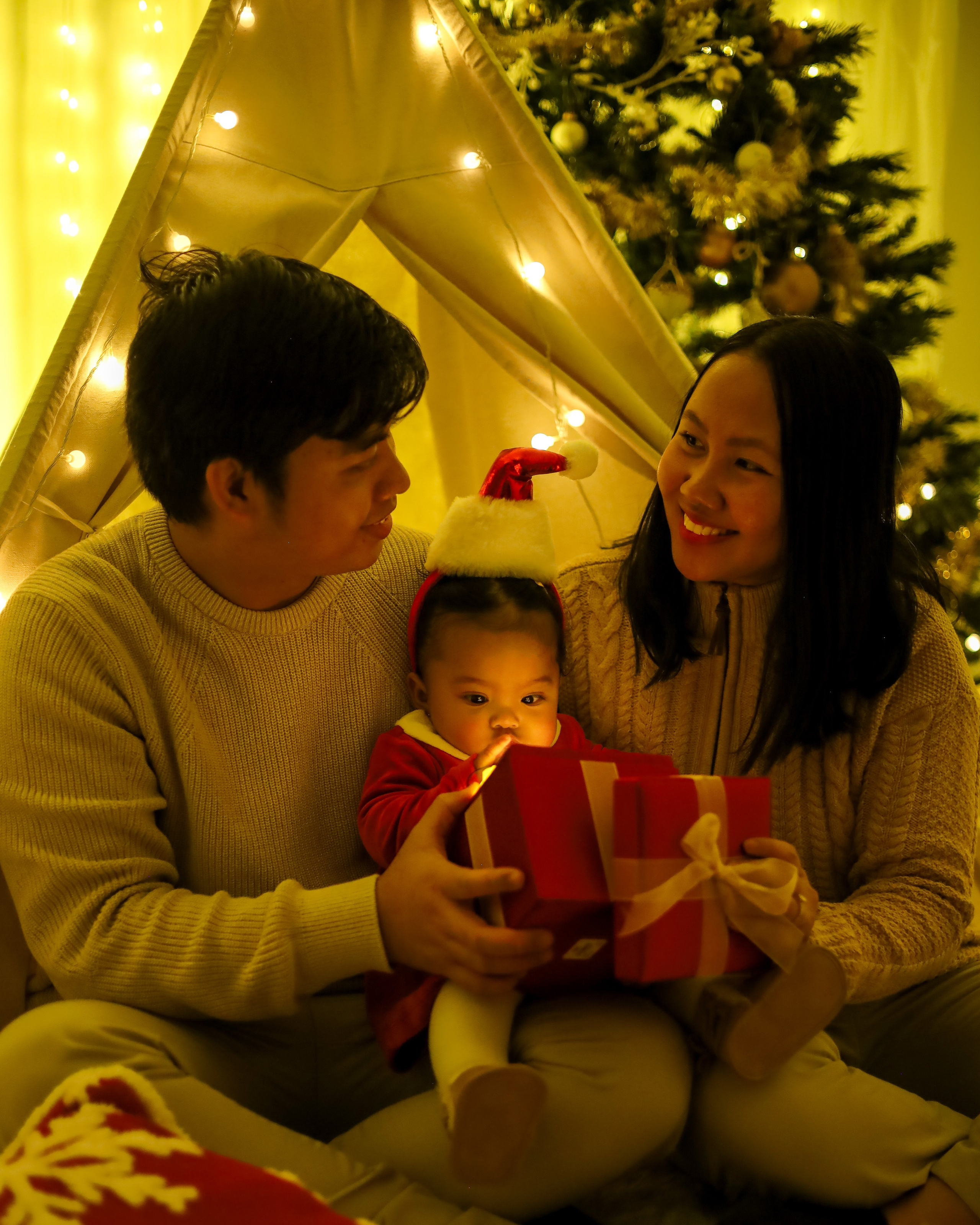 Christmas. Olga Rocheva Photography