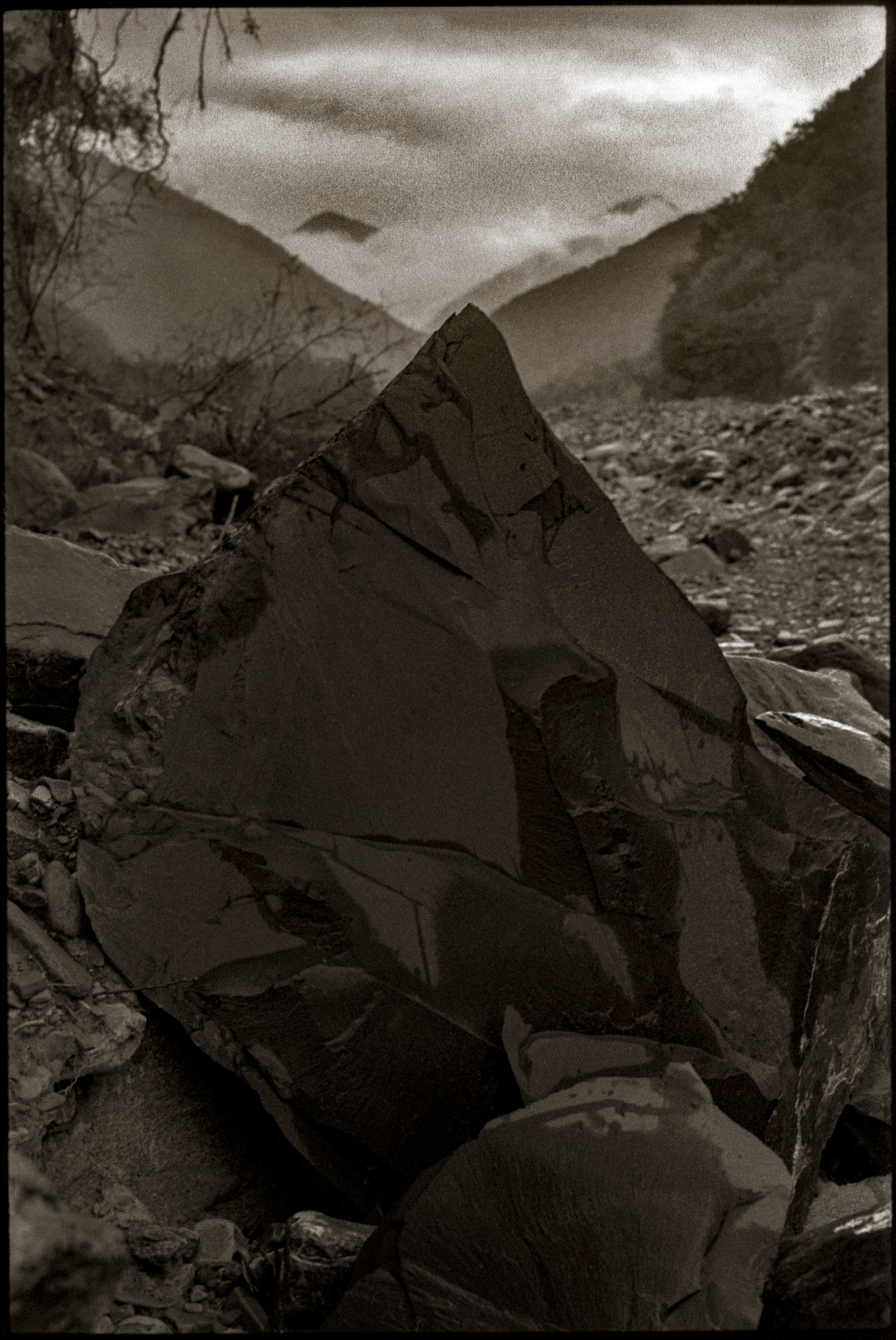 NATURE. Www.sananaleskerov.com