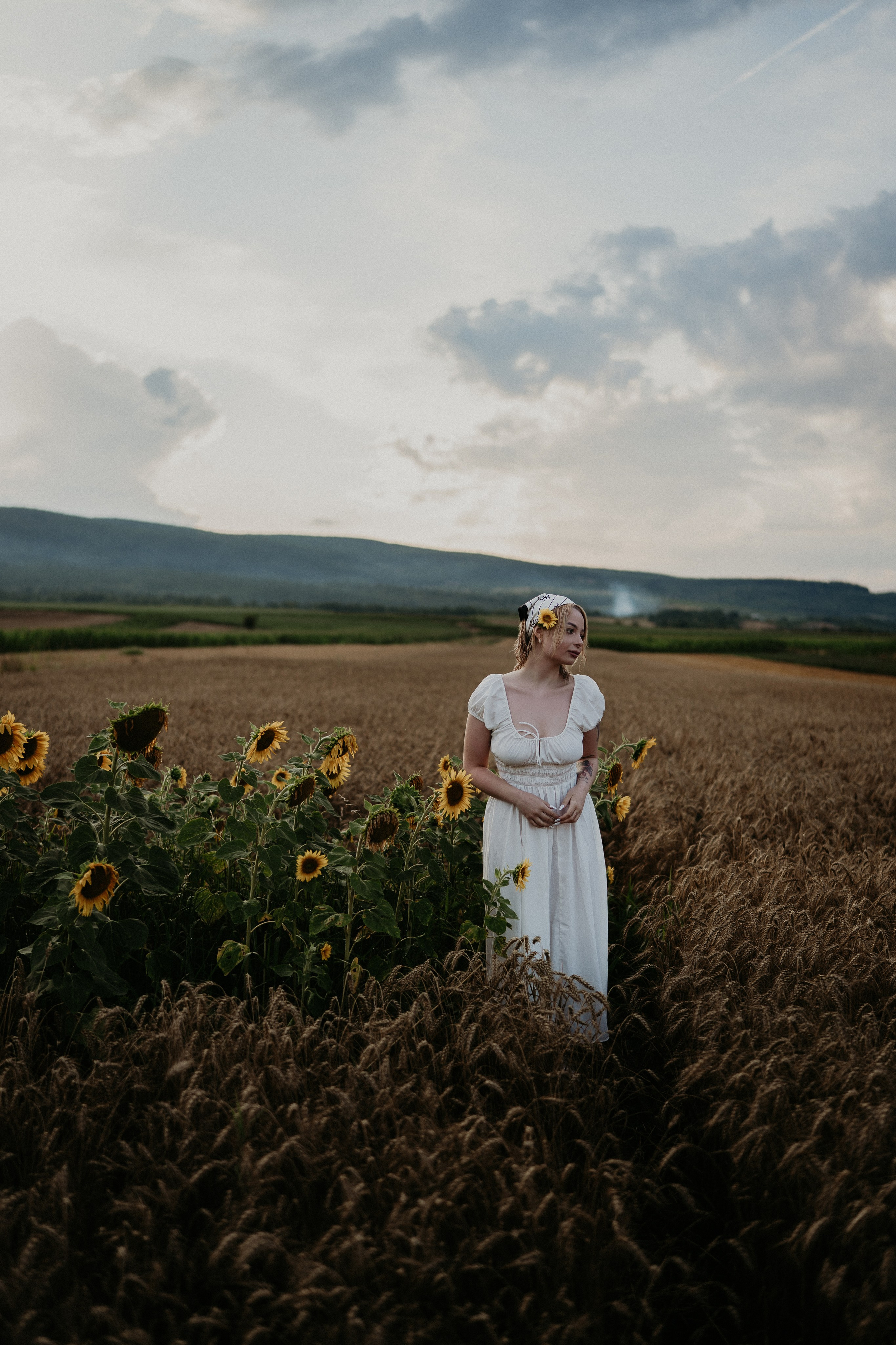 Sedinte. Foto / Video nunta Deva, Hunedoara