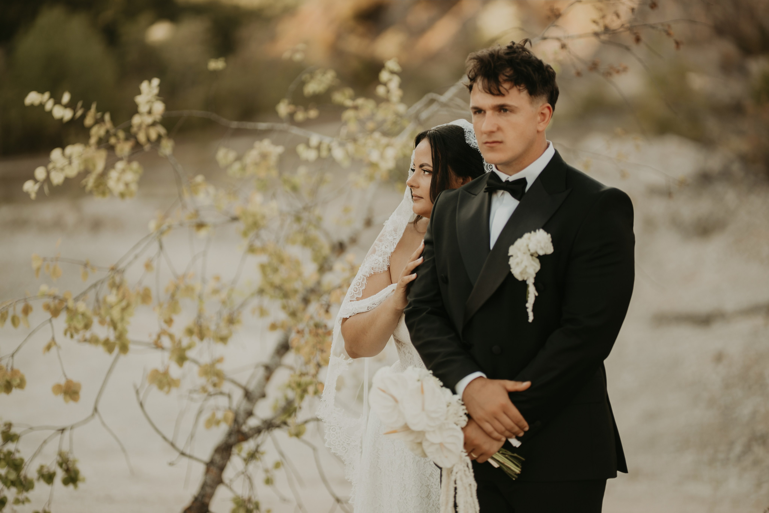 Denisa & Andrei. Foto / Video nunta Deva, Hunedoara