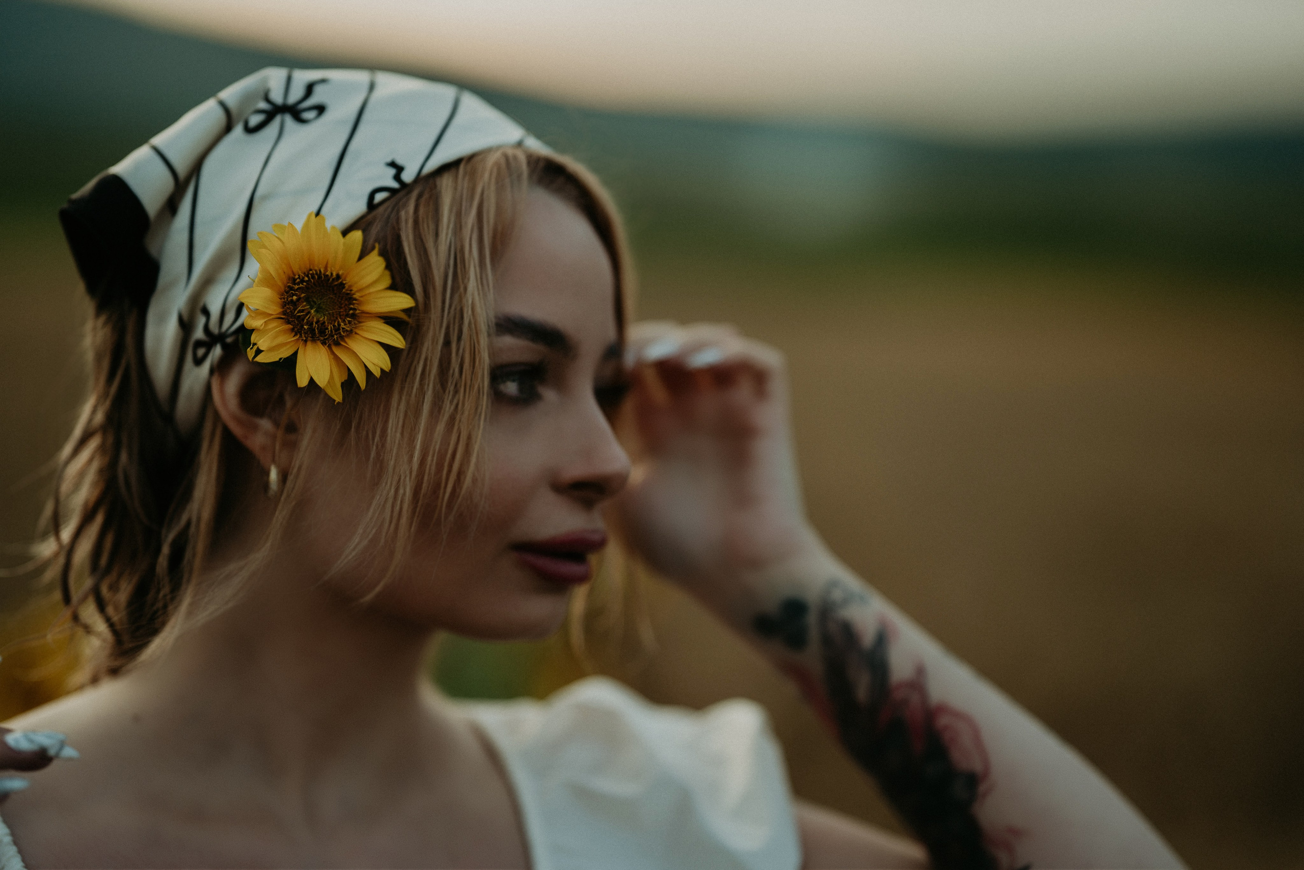 Sedinte. Foto / Video nunta Deva, Hunedoara