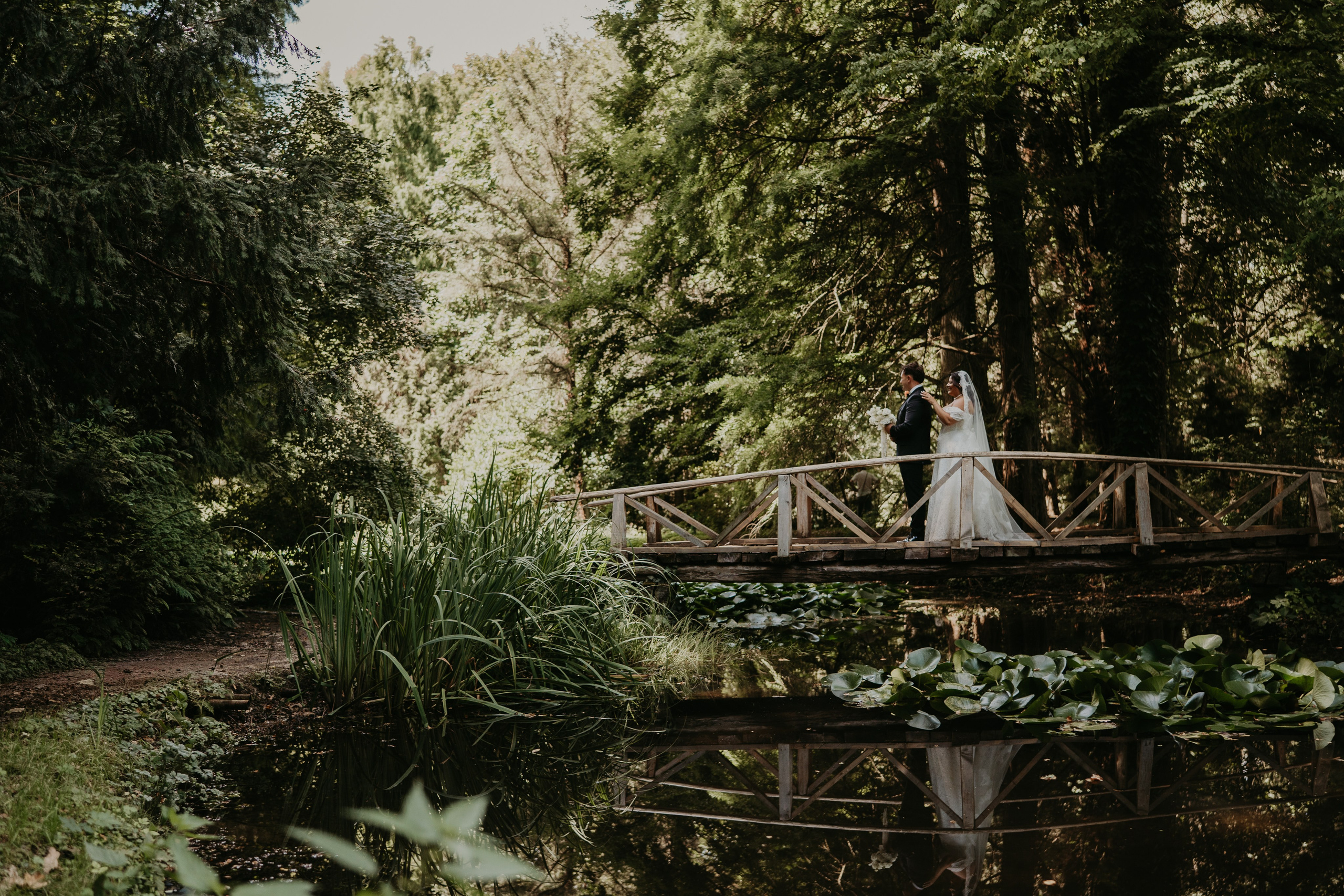 Denisa & Andrei. Foto / Video nunta Deva, Hunedoara