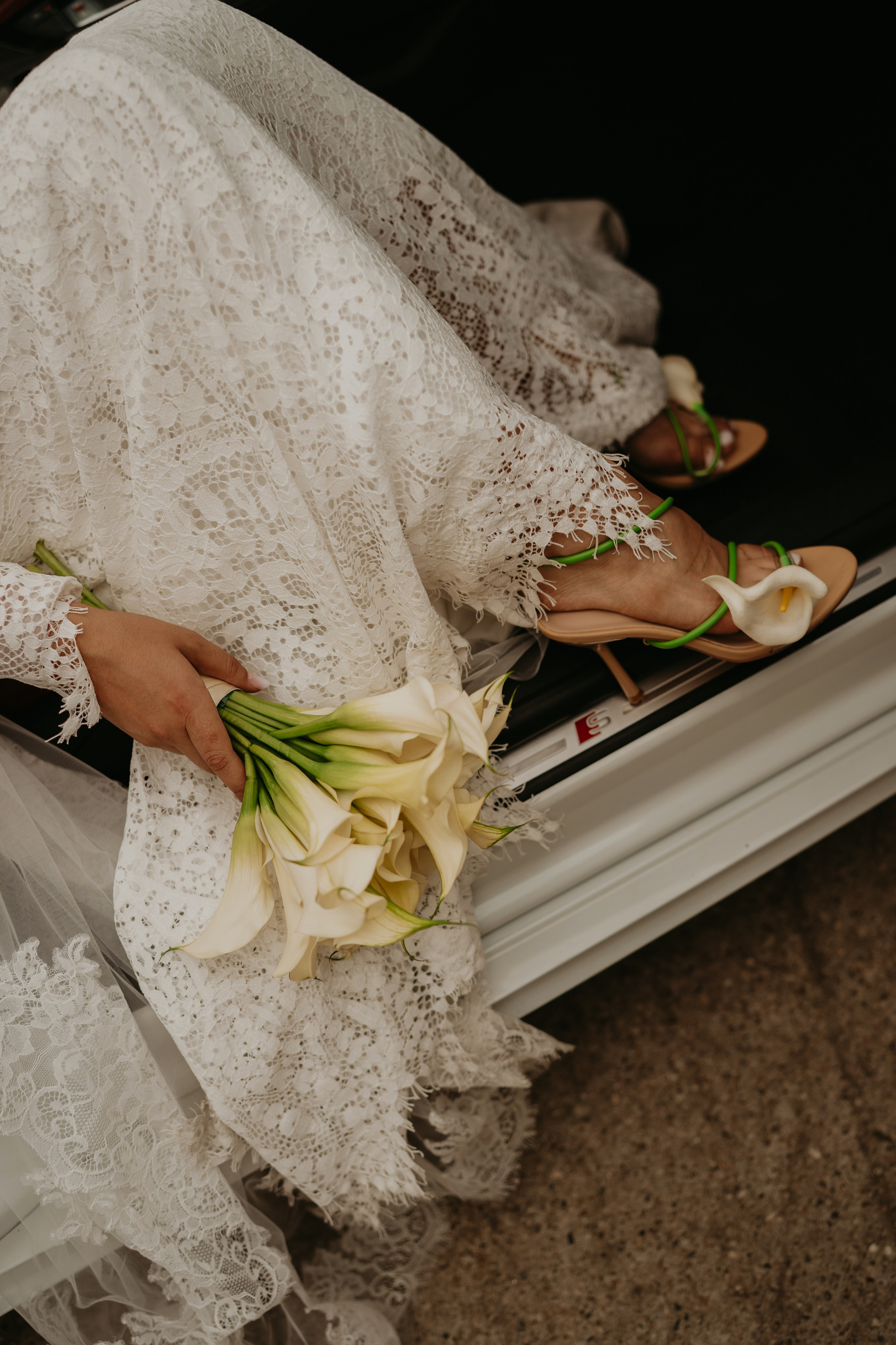 Eduard & Ioana / Wedding Day. Foto / Video nunta Deva, Hunedoara