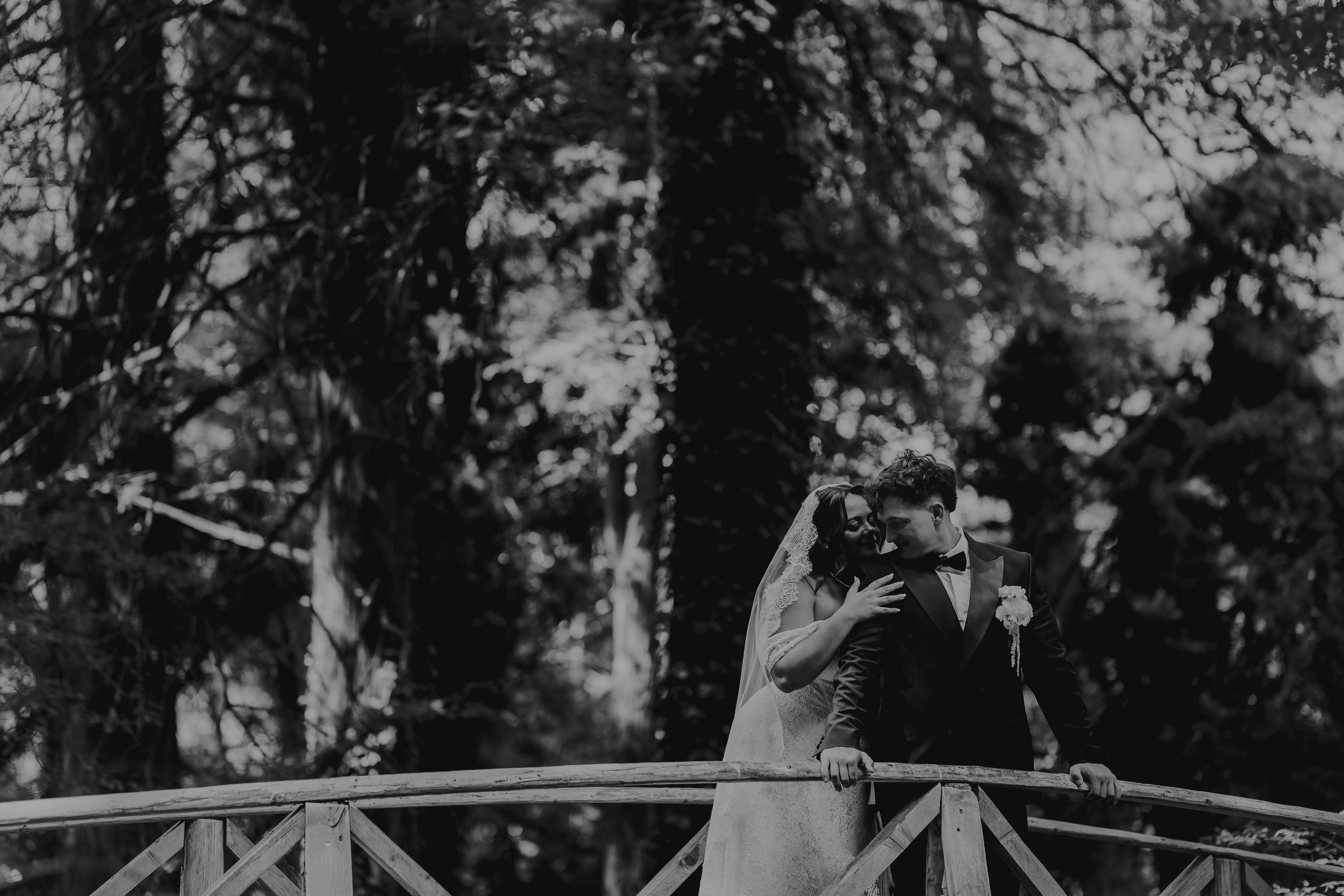 Denisa & Andrei. Foto / Video nunta Deva, Hunedoara