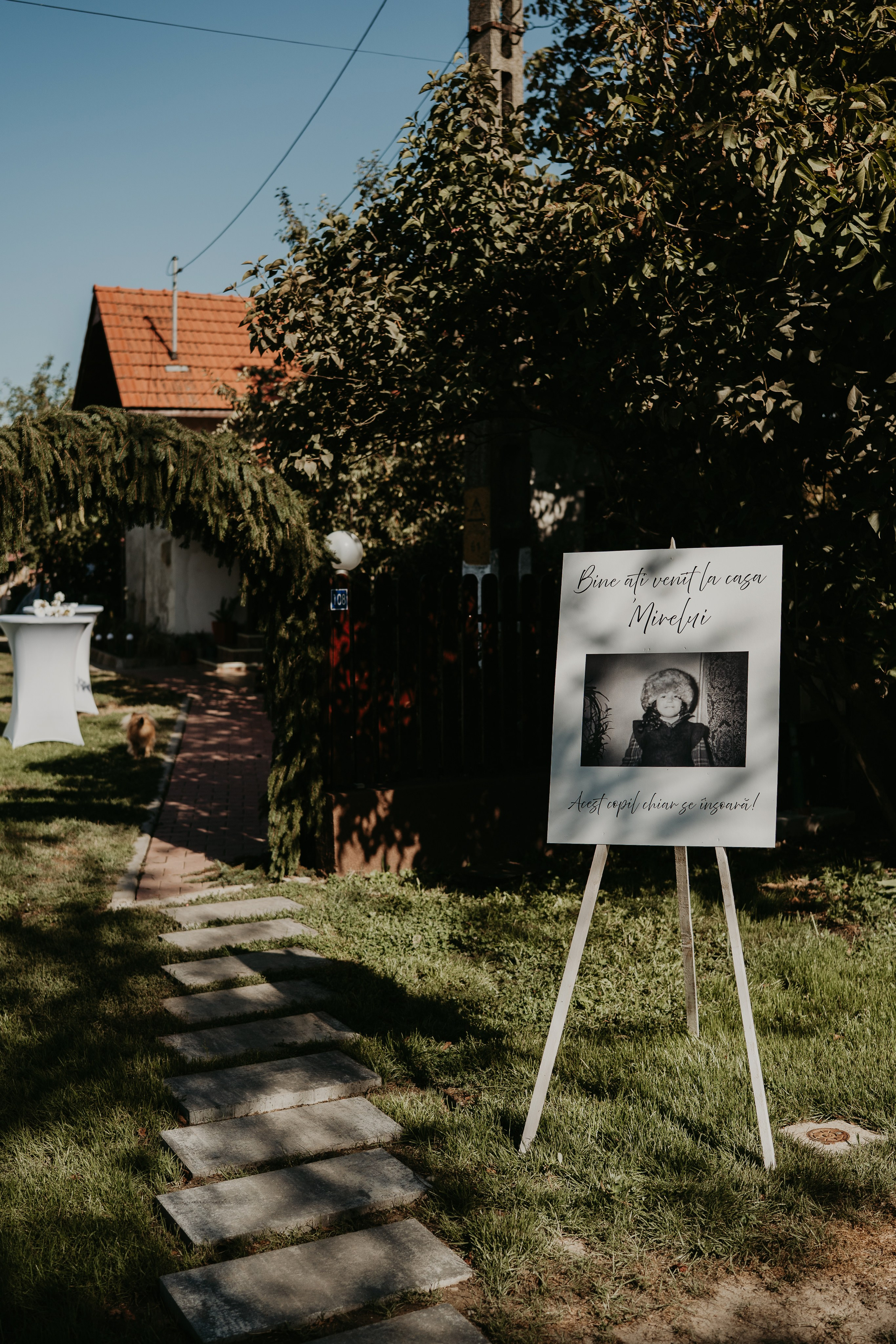 Denisa & Andrei. Foto / Video nunta Deva, Hunedoara