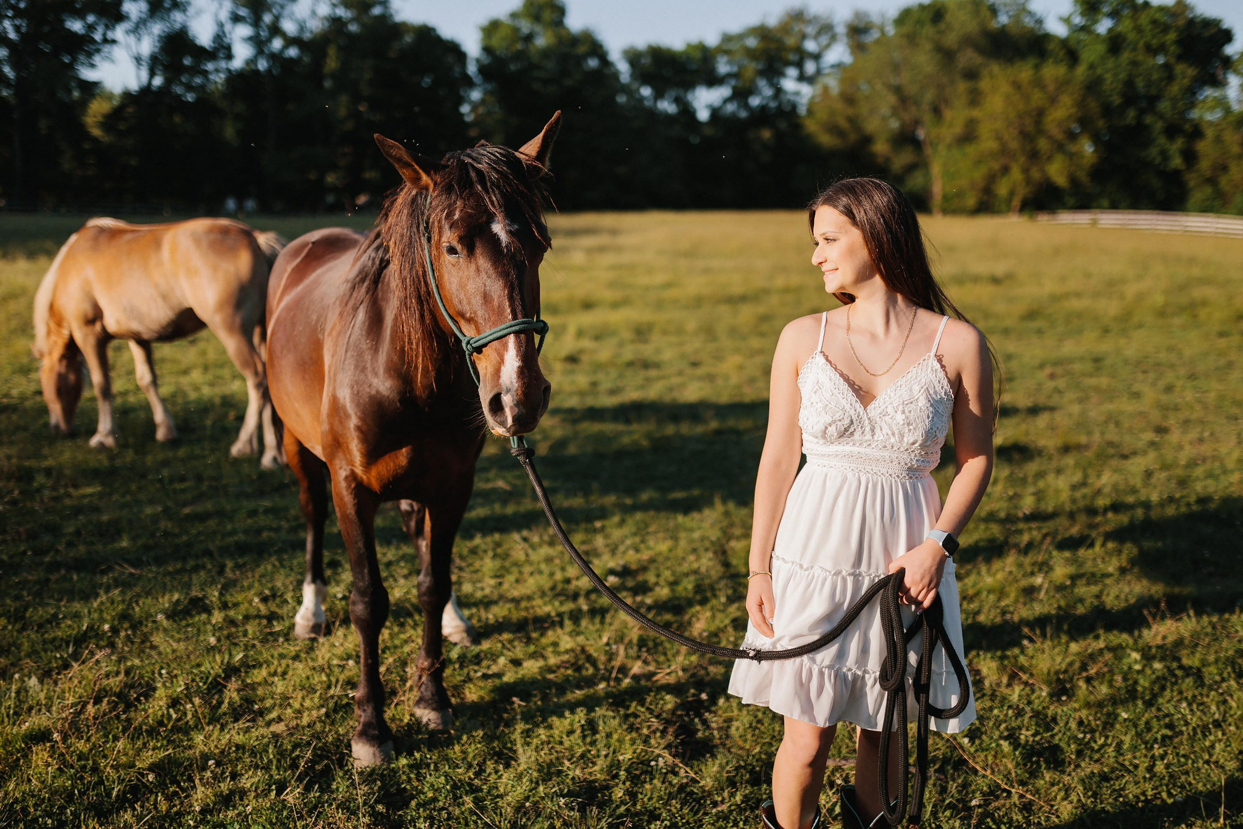 30.05.24 Family Photoshoot. Wedding family event photographer in Chicago Nick Yushevich