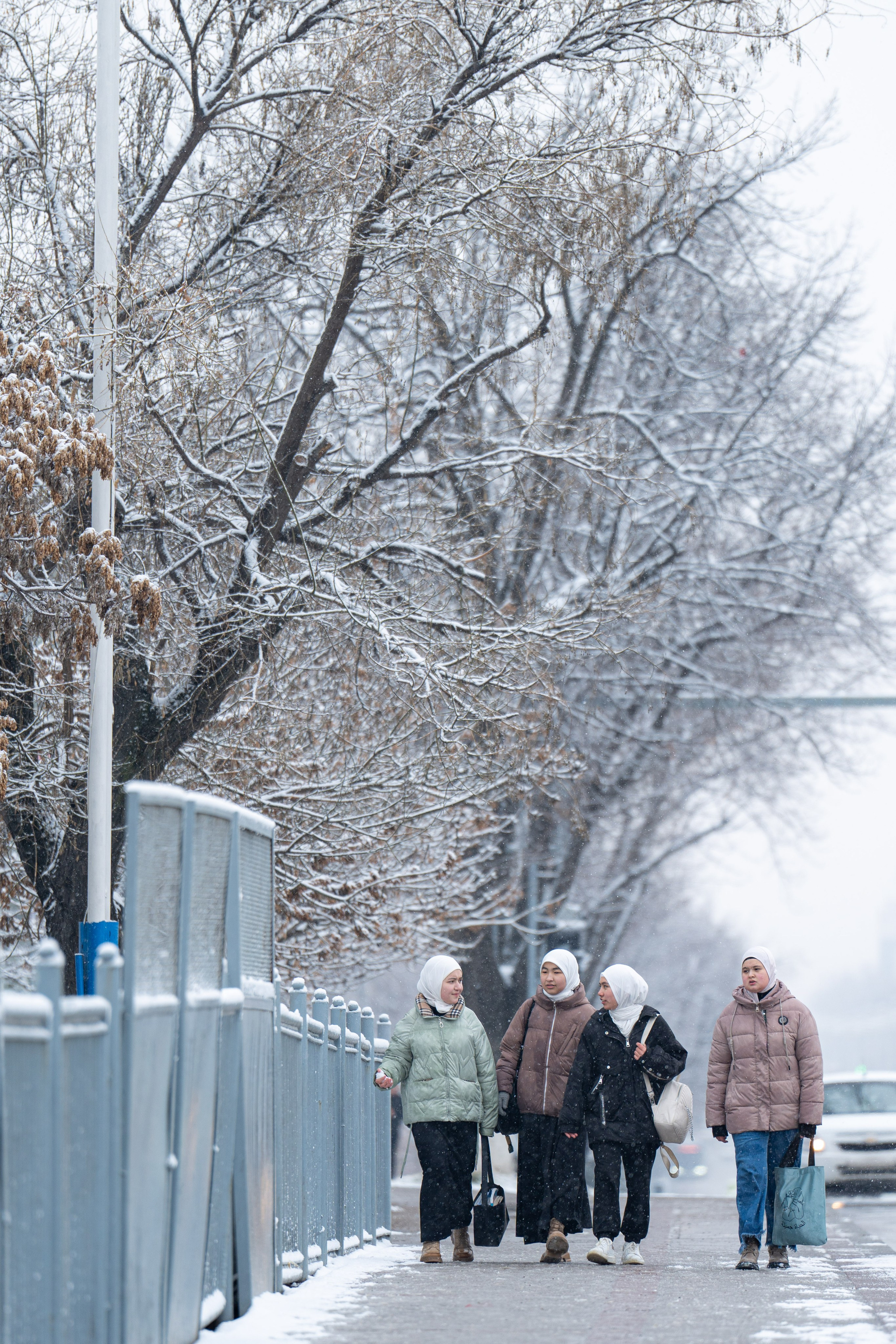 Первый снег в 2024 году. Георгий Намазов | Фотограф в Ташкенте