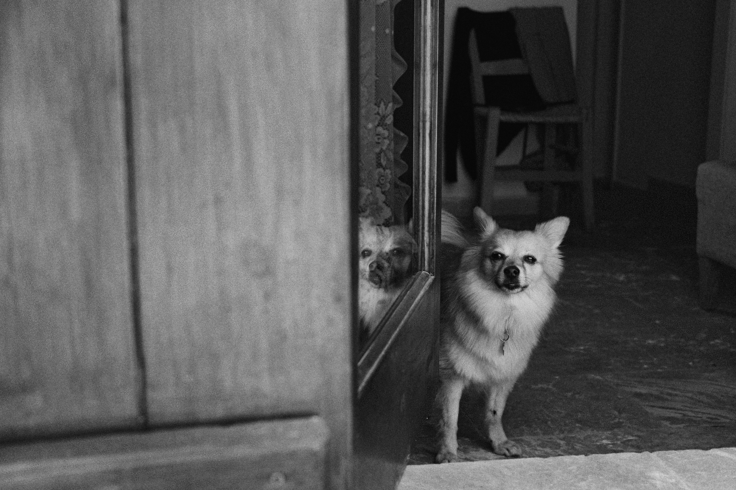 Capturing Life in Black and White - Candid Street Photography