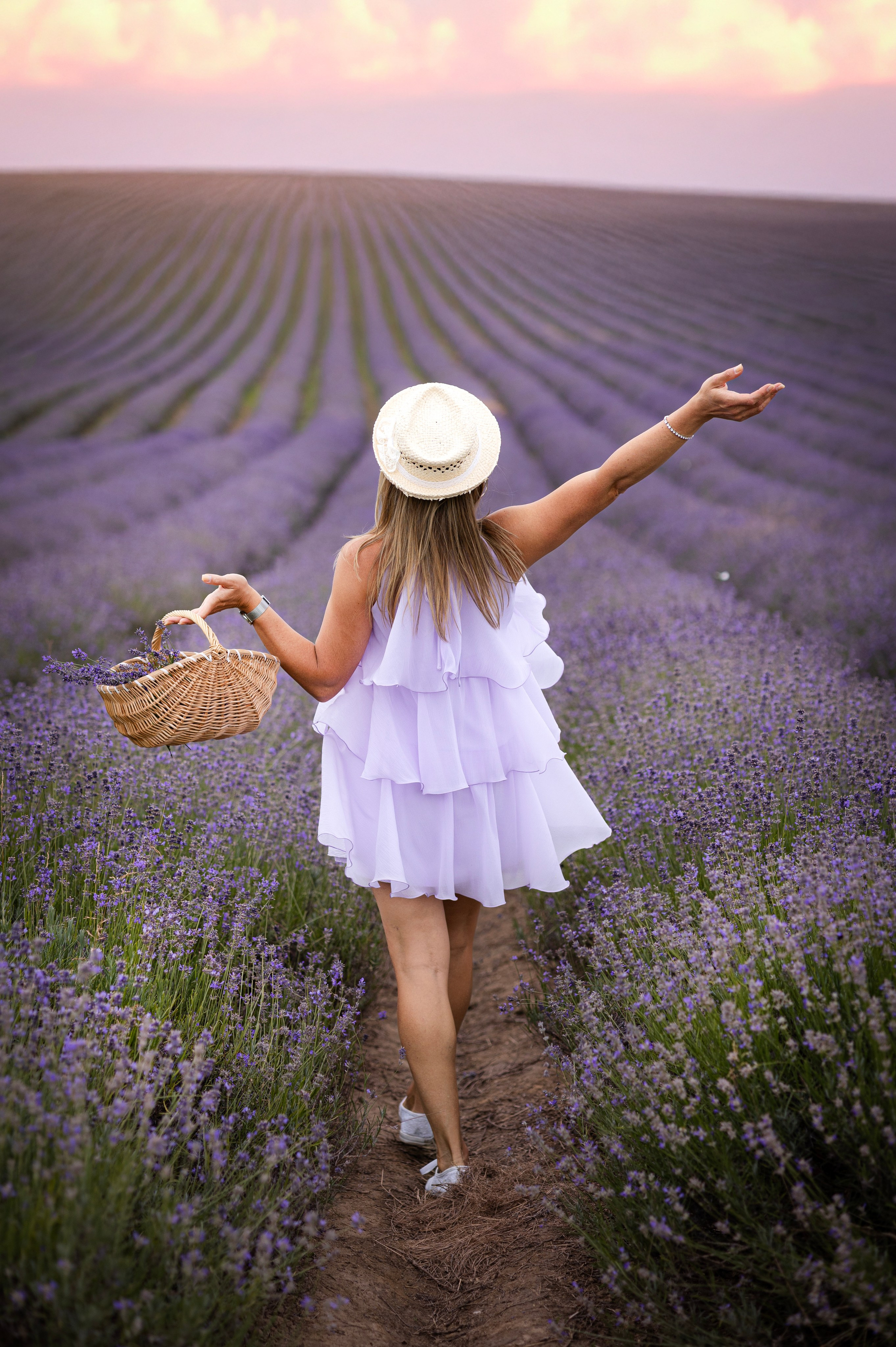 Lavendel. Photographer in Munich