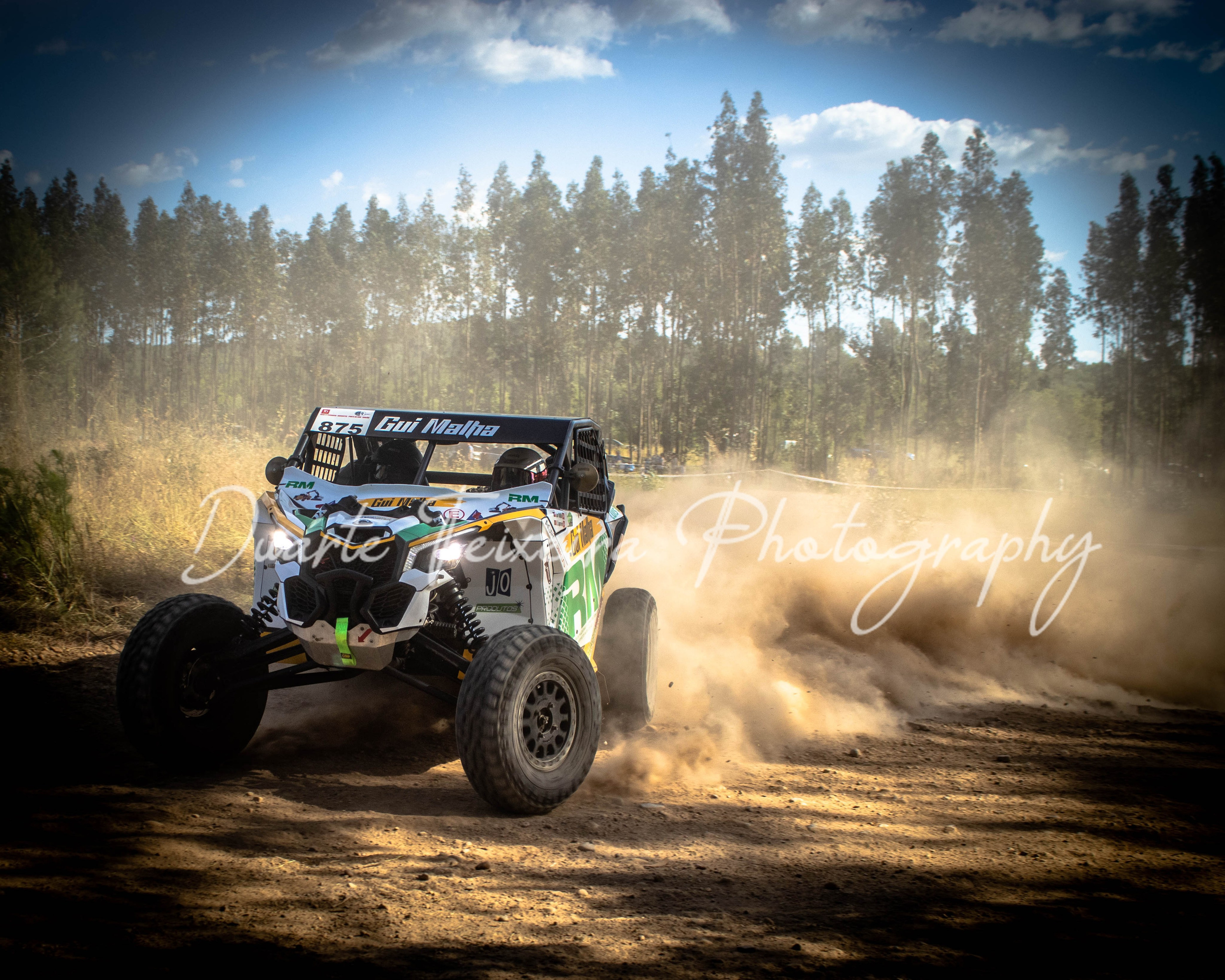 #875 Guilherme Malha / Dino Lagareiro