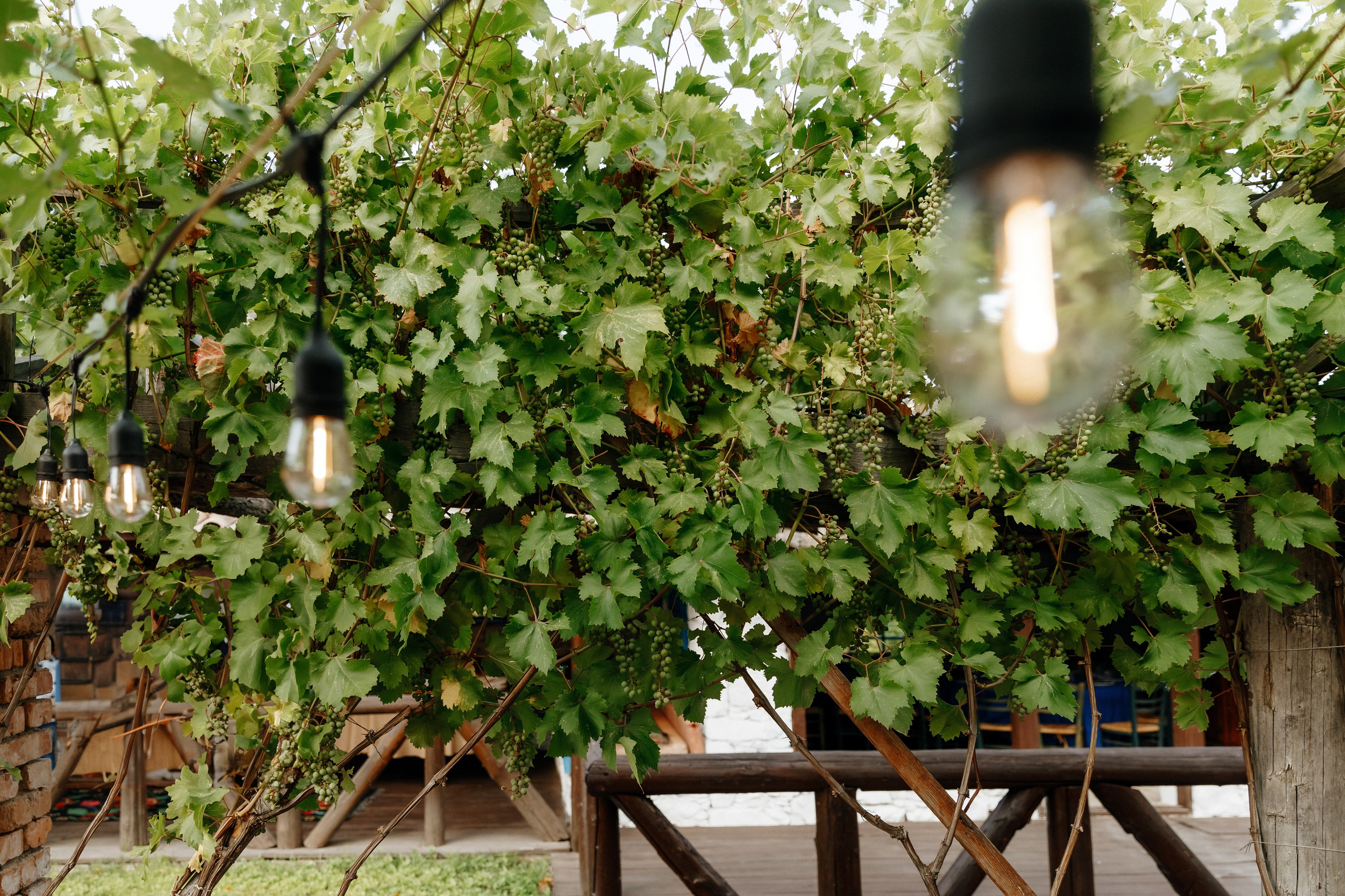 Wedding — Dumitru & Victoria. Fulga Photographer