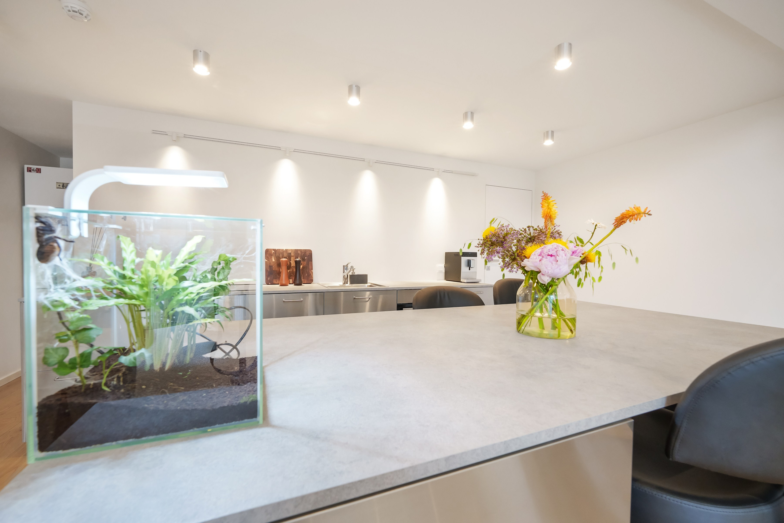 Kauno g. 32b. Elina Sapiega fotografė Vilniuje