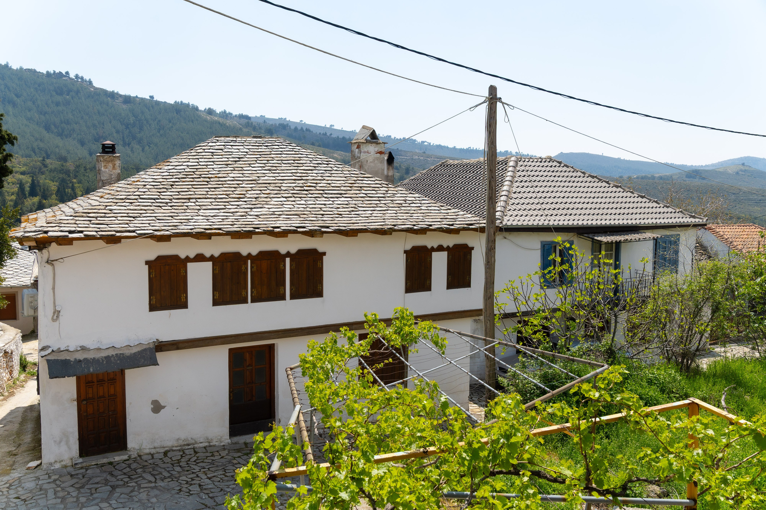 Thasos 2025. Fotografiideplacere.net