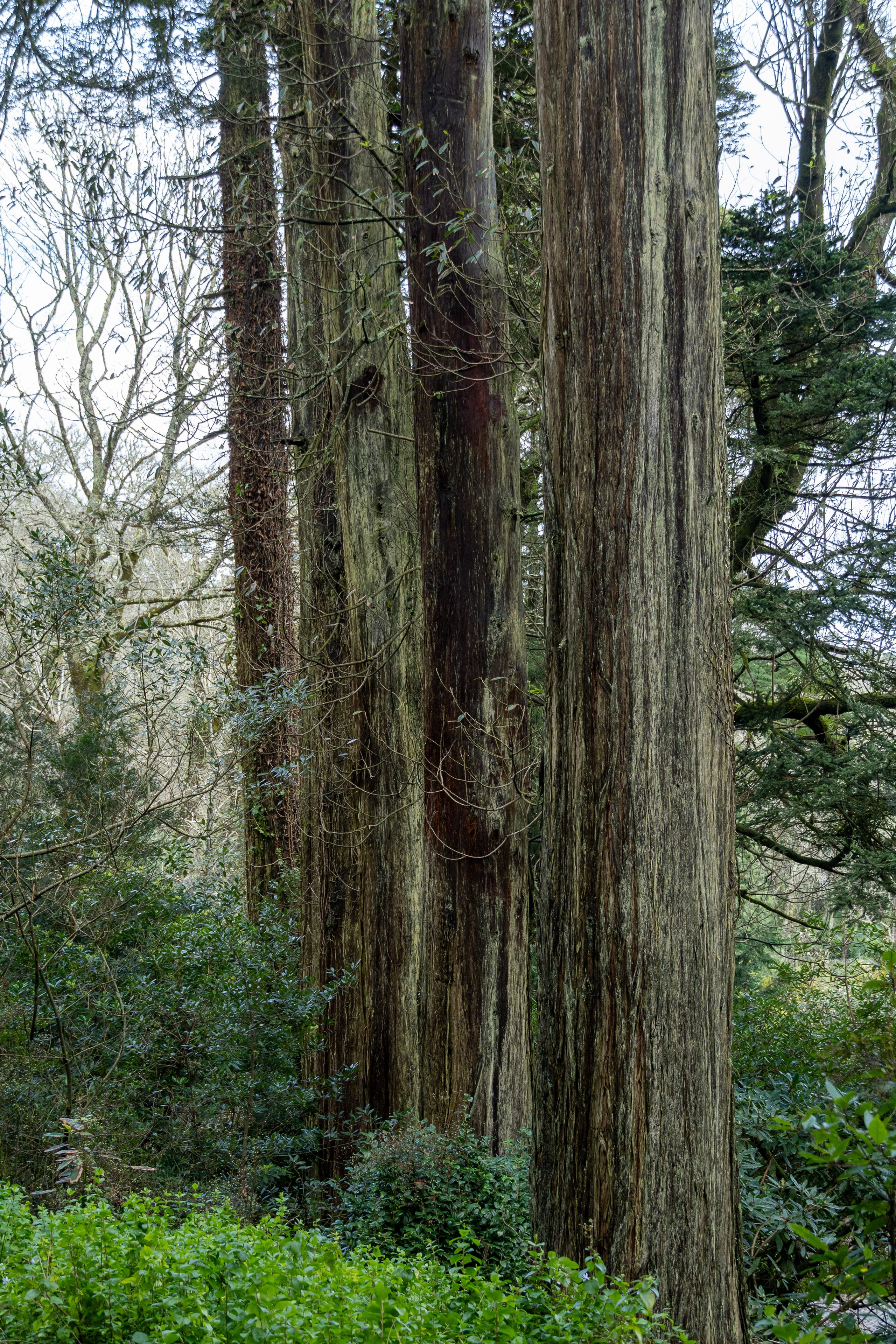 Lisabona 2025. Fotografiideplacere.net