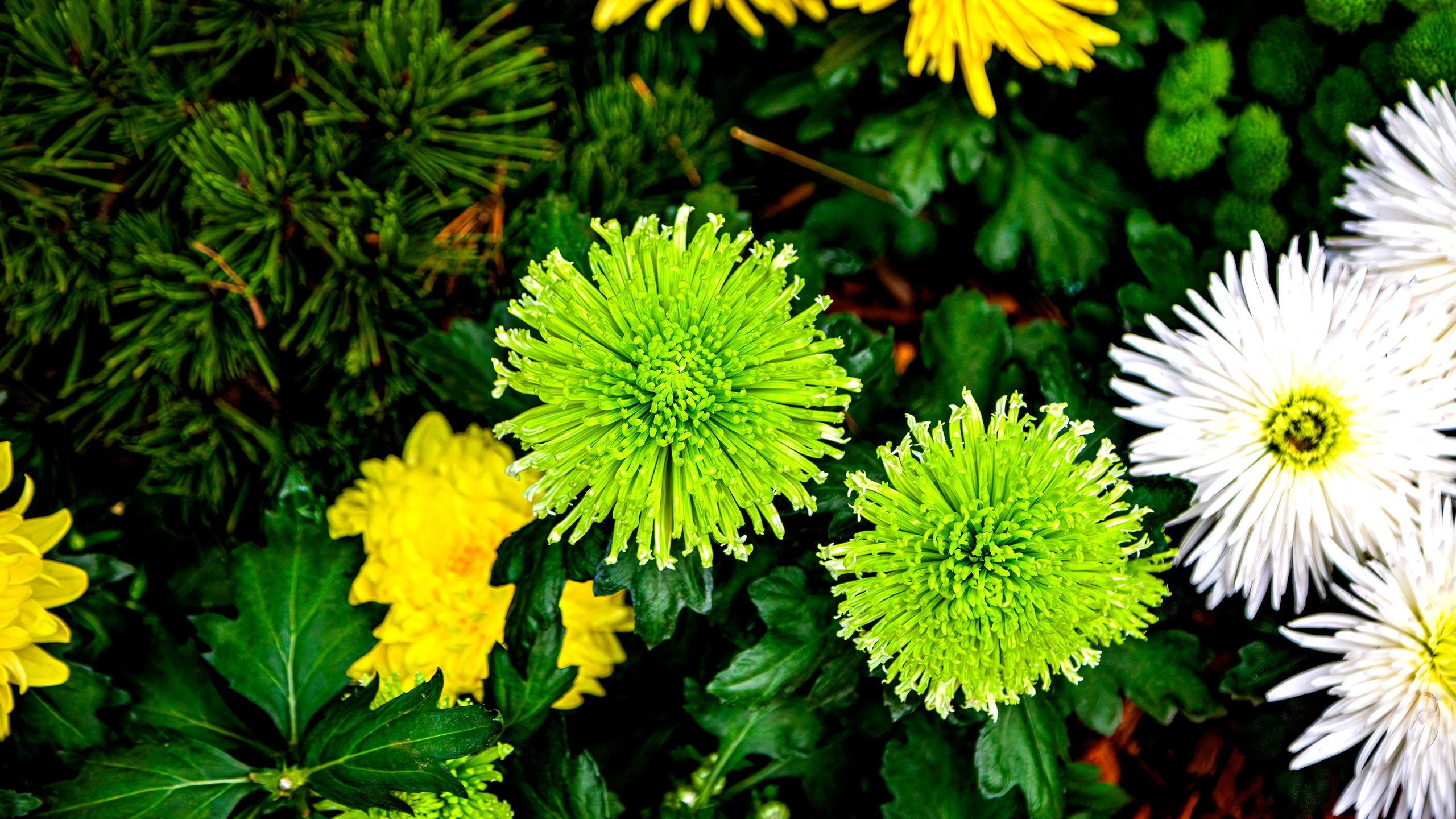 187.Mainau.Germany.24.9.2024. Путешествия в формате 360......
