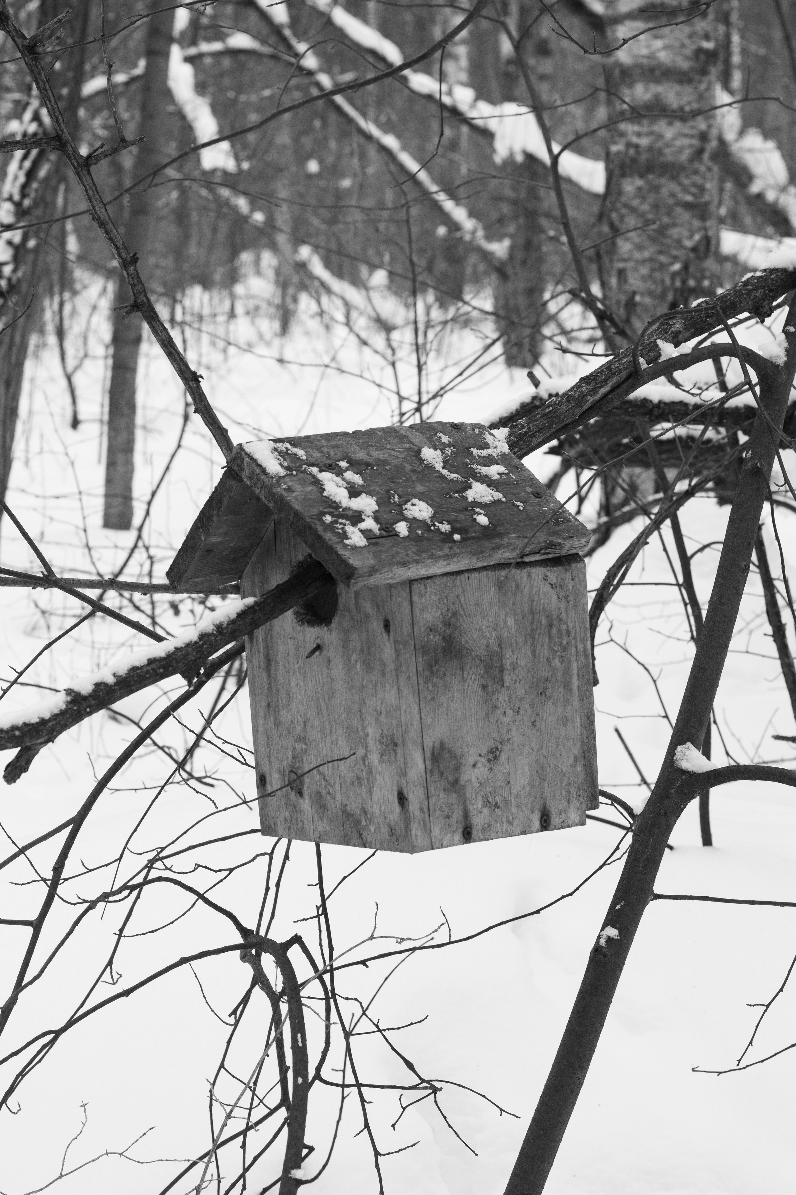 Кто сказал, что будет легко (в процессе). Екатерина Федорова