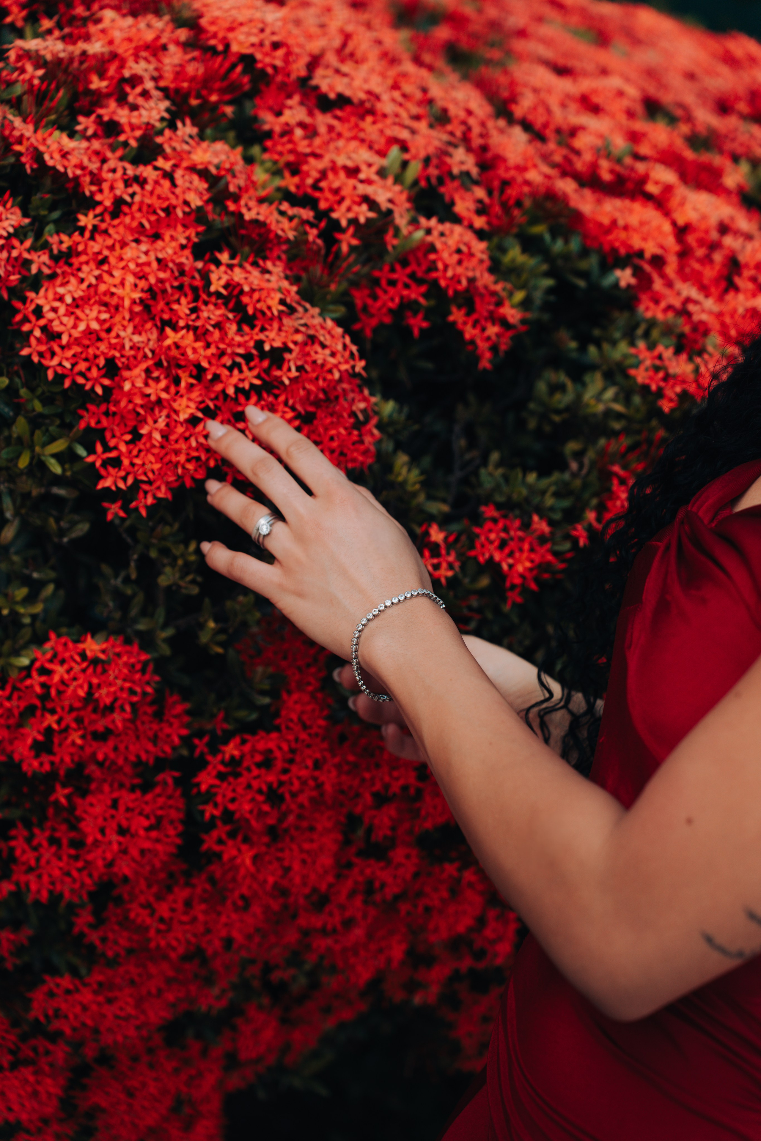 Retrato. Reference Visuals