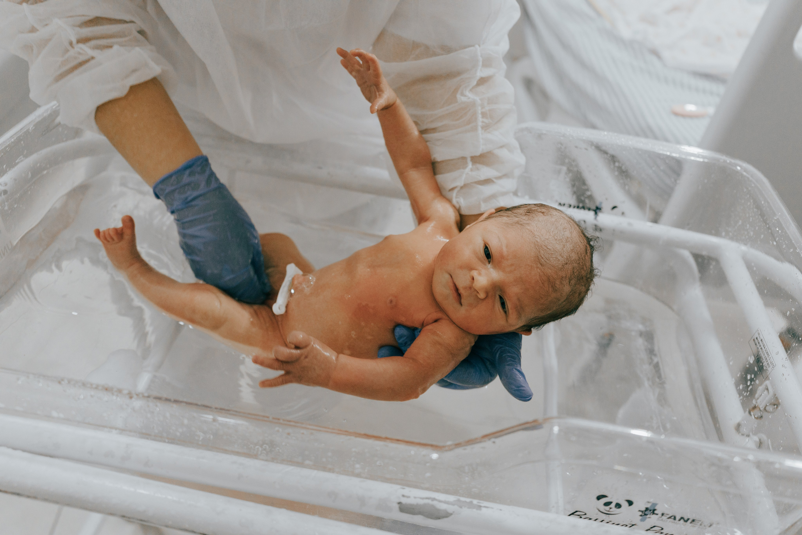 Nascimento Maria Cecília