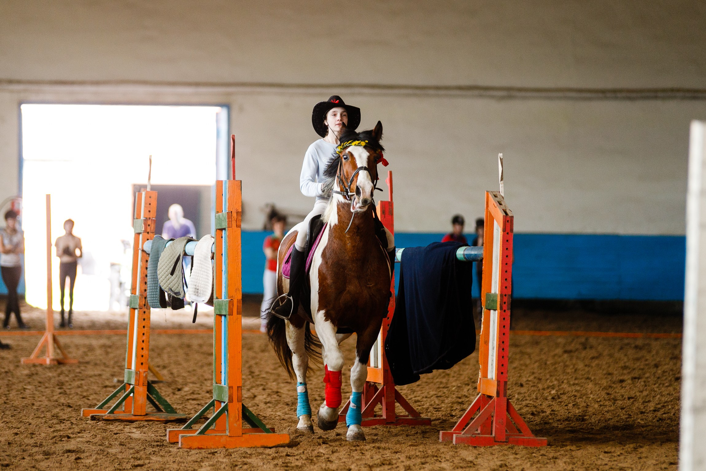 Horse winter games. Kaja | fotograf we Wrocławiu | ludzie i psy