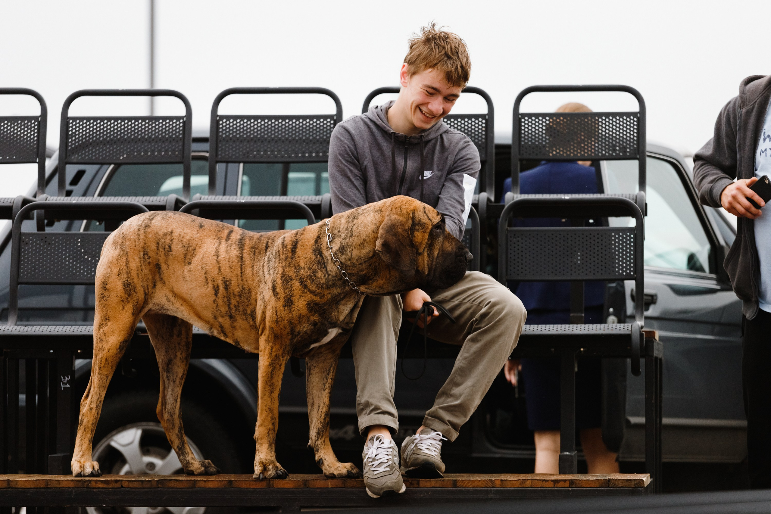 Rainy dog show in Grodno. Kaja | fotograf we Wrocławiu | ludzie i psy