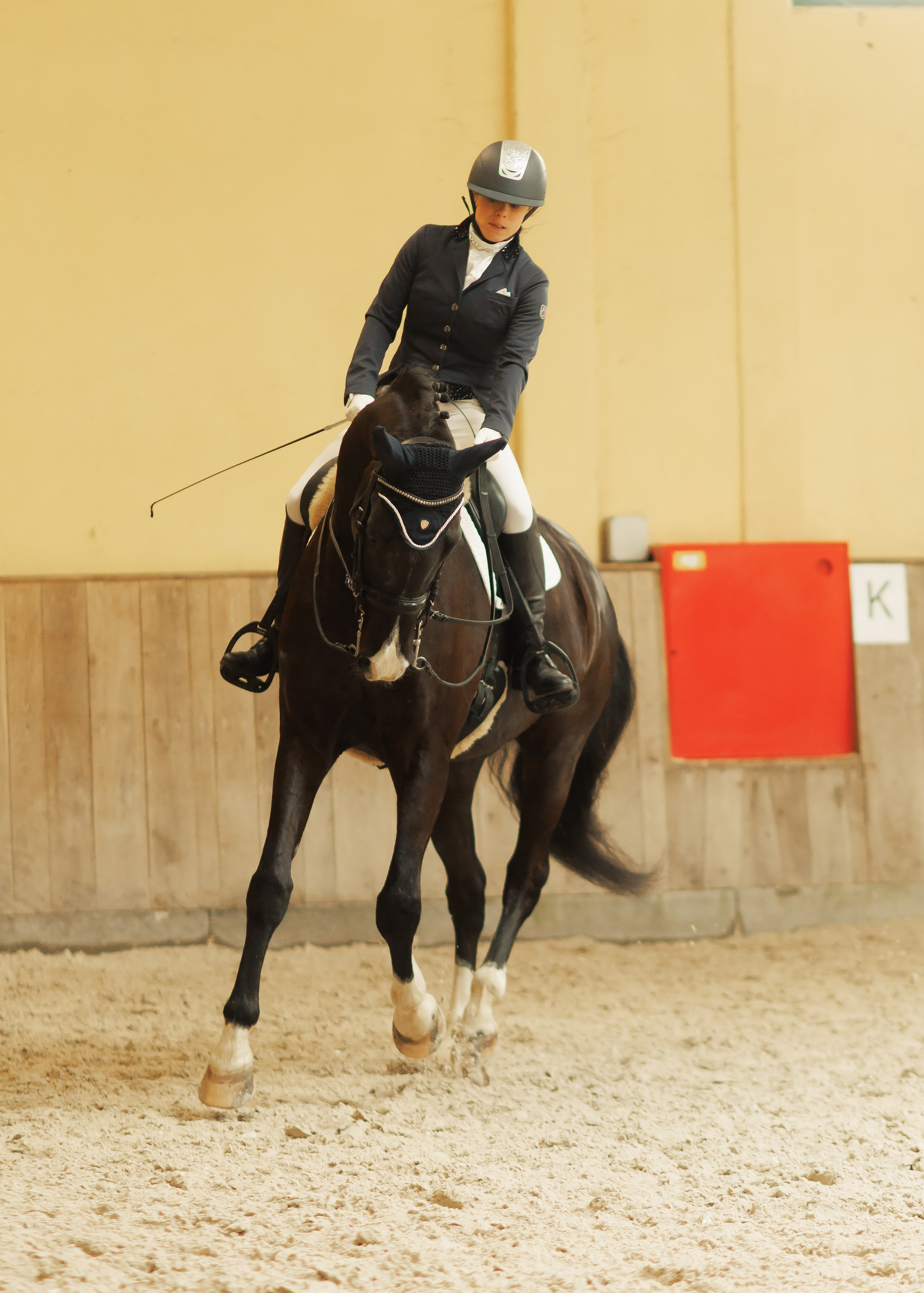 Partynice dressage \ feb'25. Kaja | fotograf we Wrocławiu | ludzie i psy