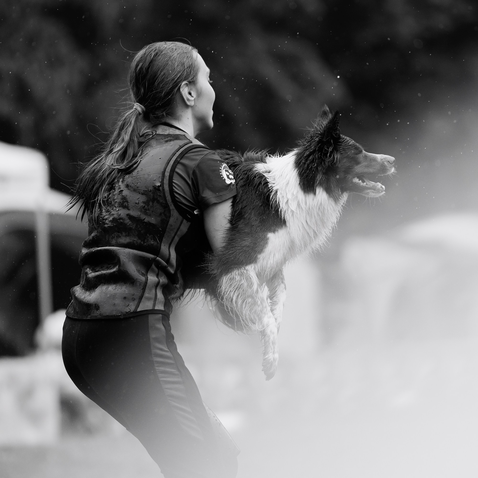 Latające psy, Wrocław'25. Kaja | fotograf psów we Wrocławiu