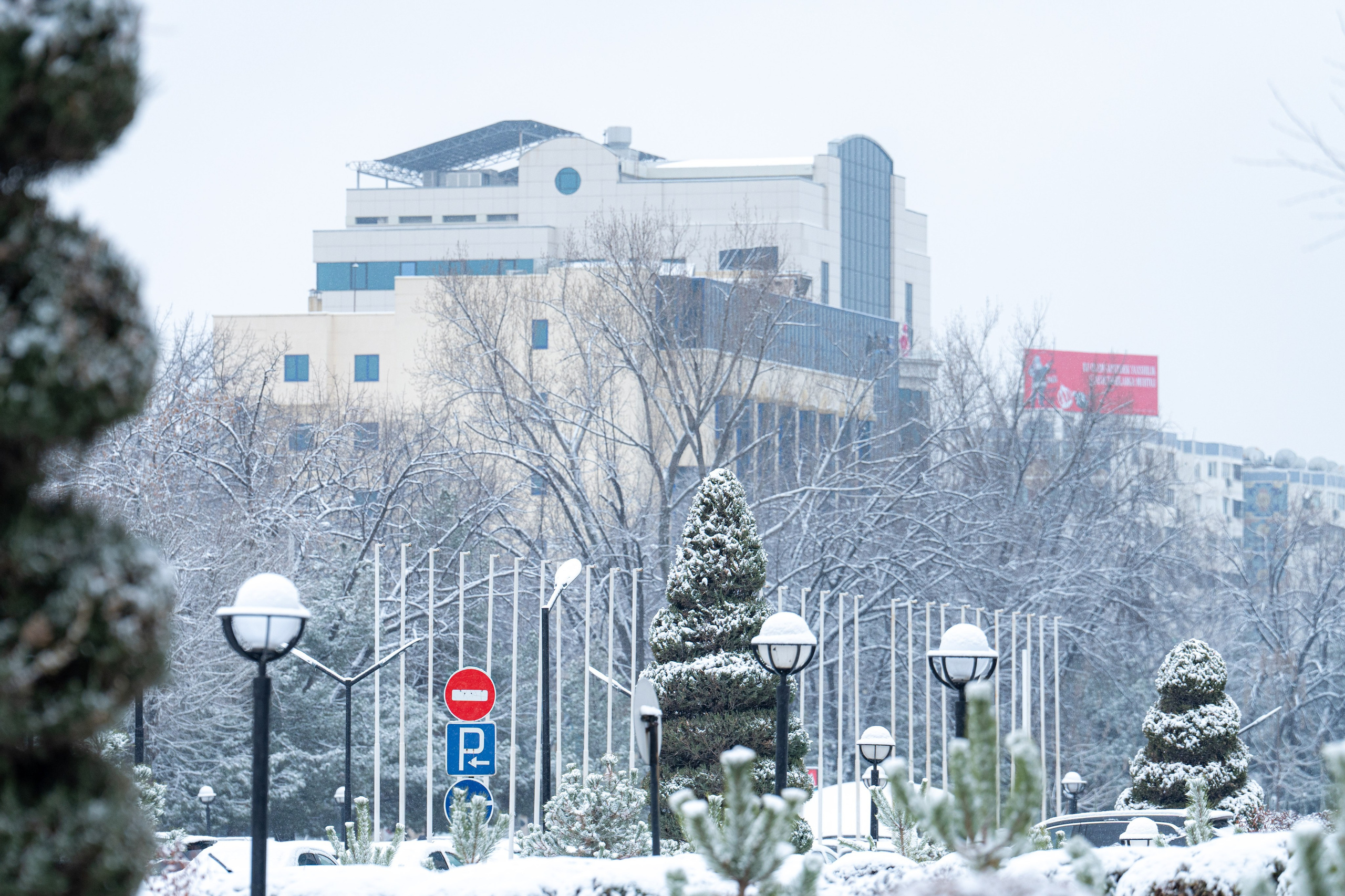 Первый снег в 2024 году. Георгий Намазов | Фотограф в Ташкенте