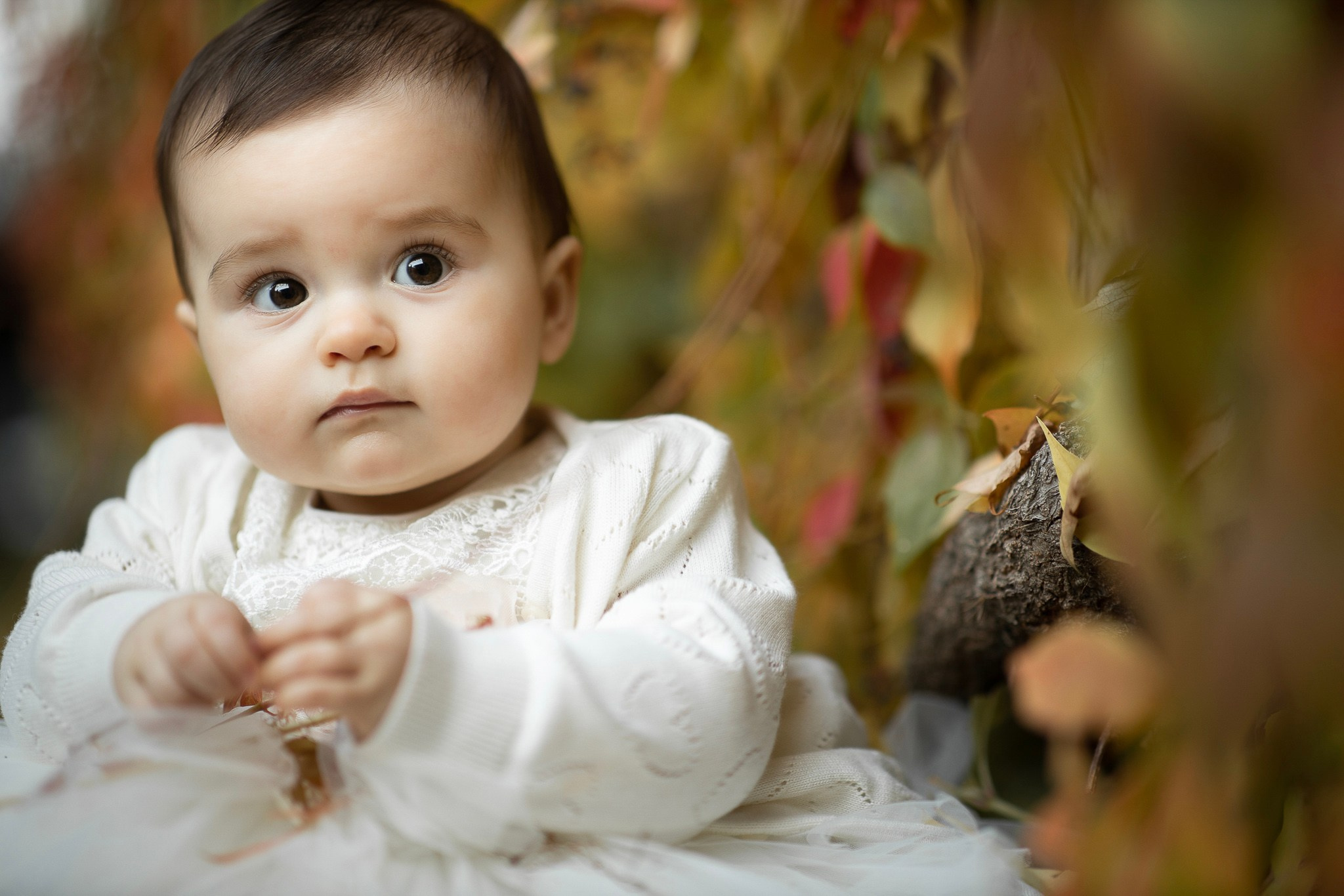 Krupni portret bebe u belom pletenom kardiganu i čipkastoj haljini, okružene zamućenim jesenjim lišćem i korom drveta u pozadini.