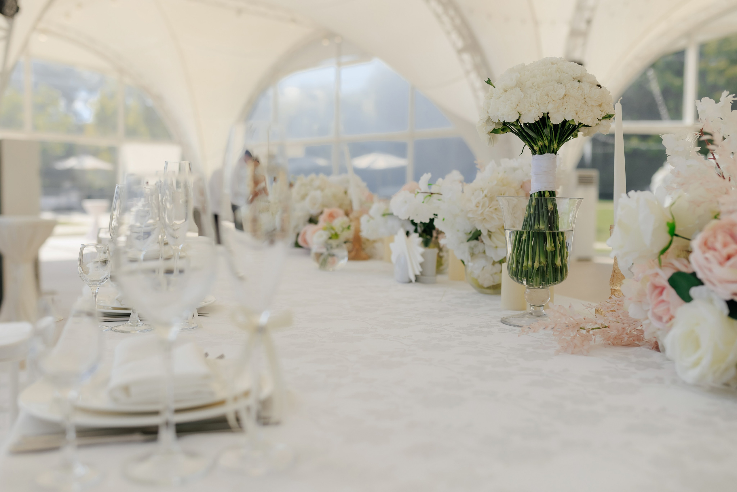 Liviu & Vergilia. ProWed — Foto Video Moldova și România