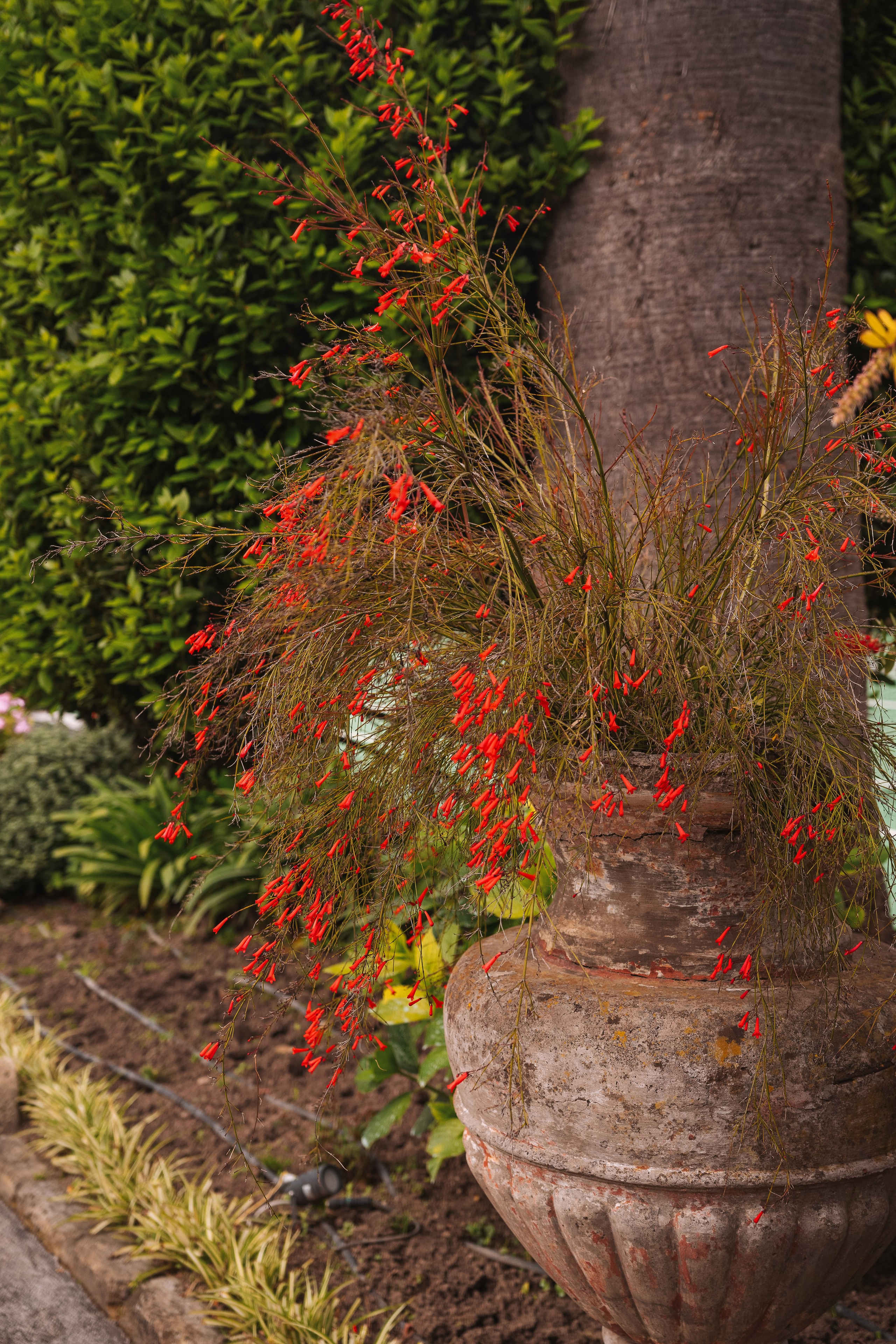 Grand Hotel Cocumella. Hotel and travel photographer