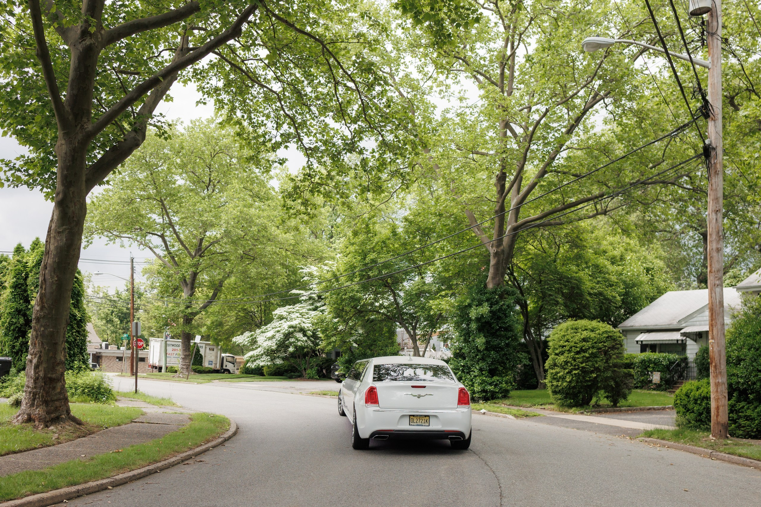 Julia and Matthew. Wedding Photo & Video