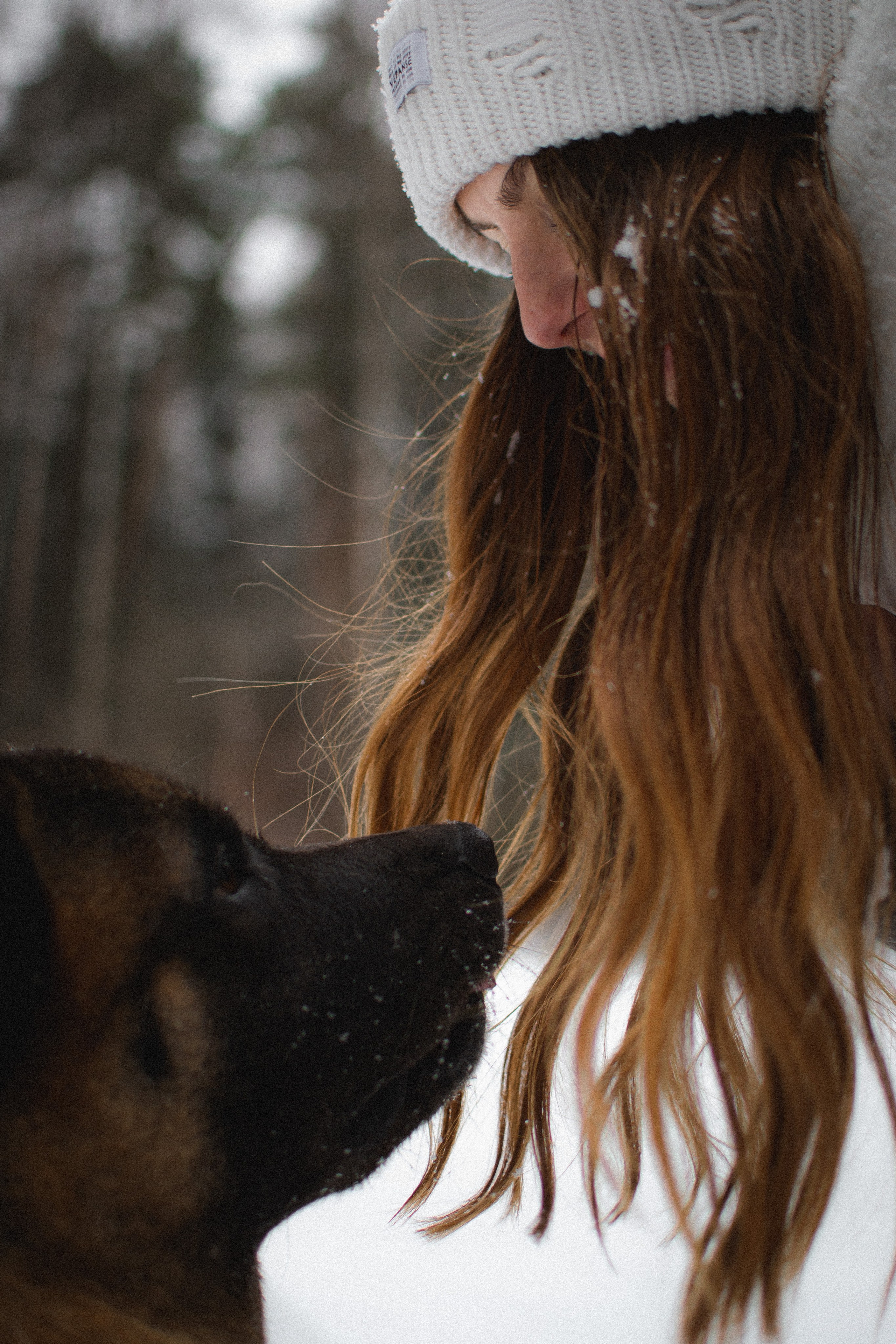 Margarita et Hulk. Photographe animalier à Paris Anna Pereira