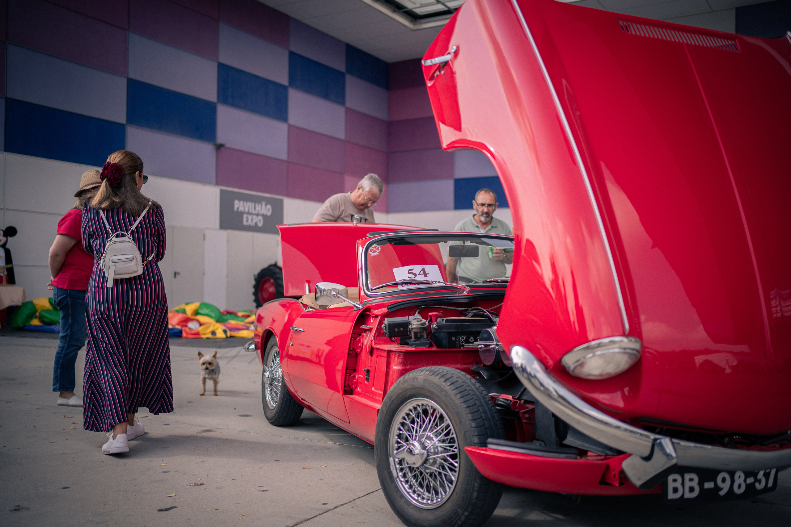 Gatherings. Catarina Calheiros