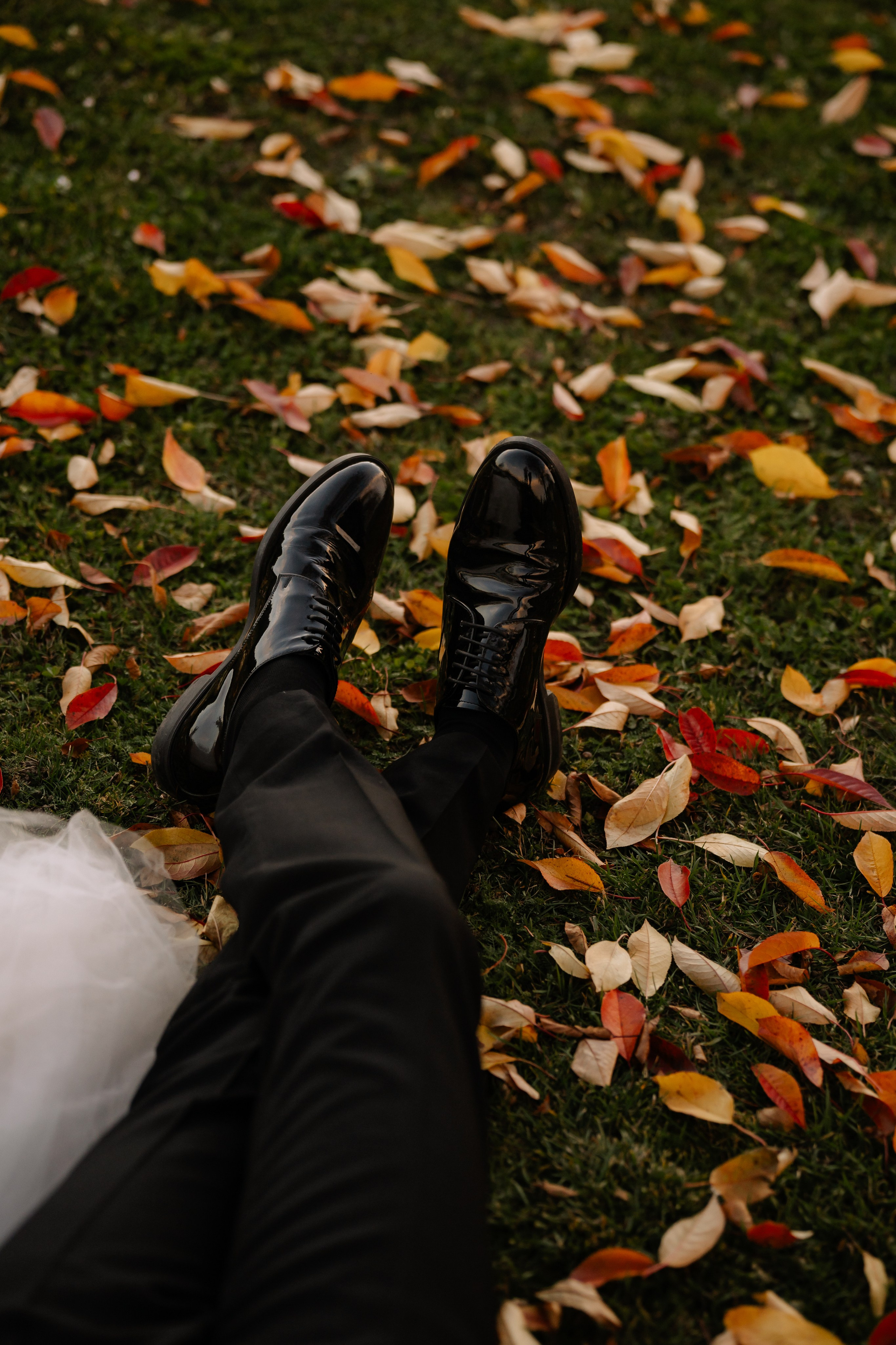 Raluca + Marius | Gradinile Romane. Proud Vision Weddings | Wedding Photography & Film — Servicii profesionale Foto Video Nunta Iasi