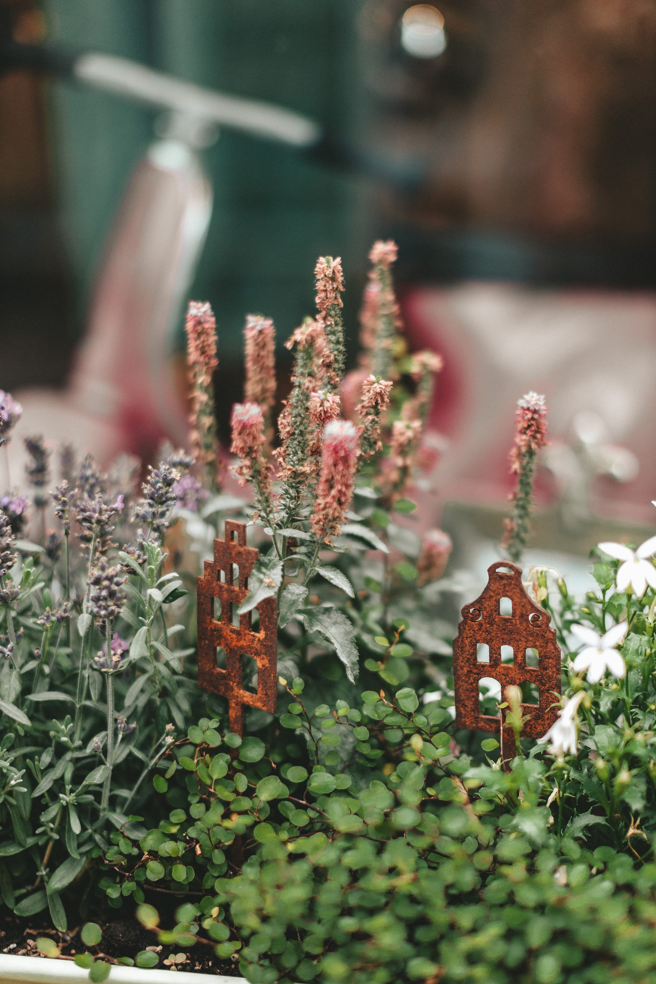 Lüneburg. Фотограф в Германии — Мария Чистякова